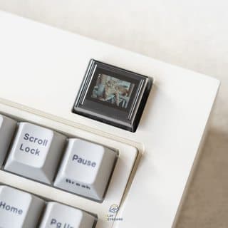 Model OLED | GB Starts on 2024.1.12 image 45