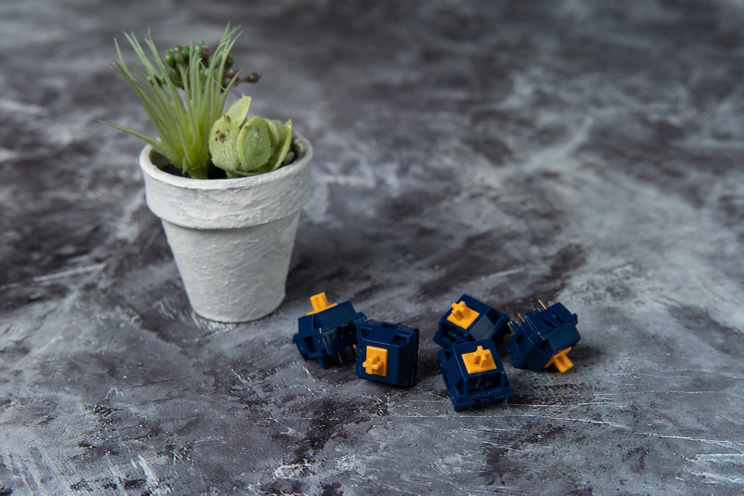 DSS Carpinteria | GROUP BUY LIVE image 24