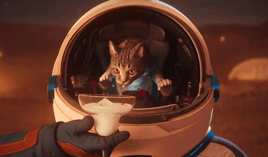 MW CALICO - PRE-ORDER LIVE, MOVED image 20