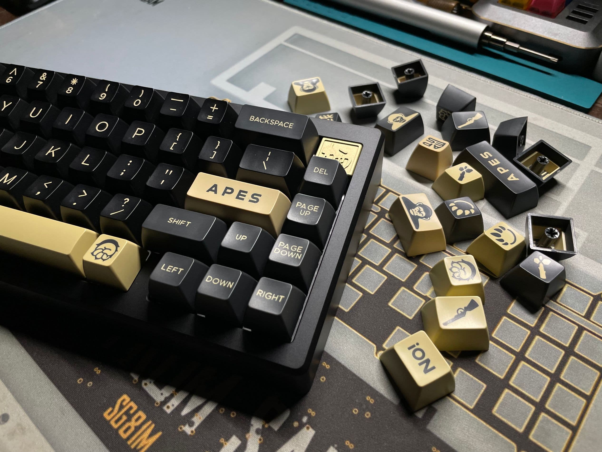 S68m 栖 GB is Live -Not From Sam image 7