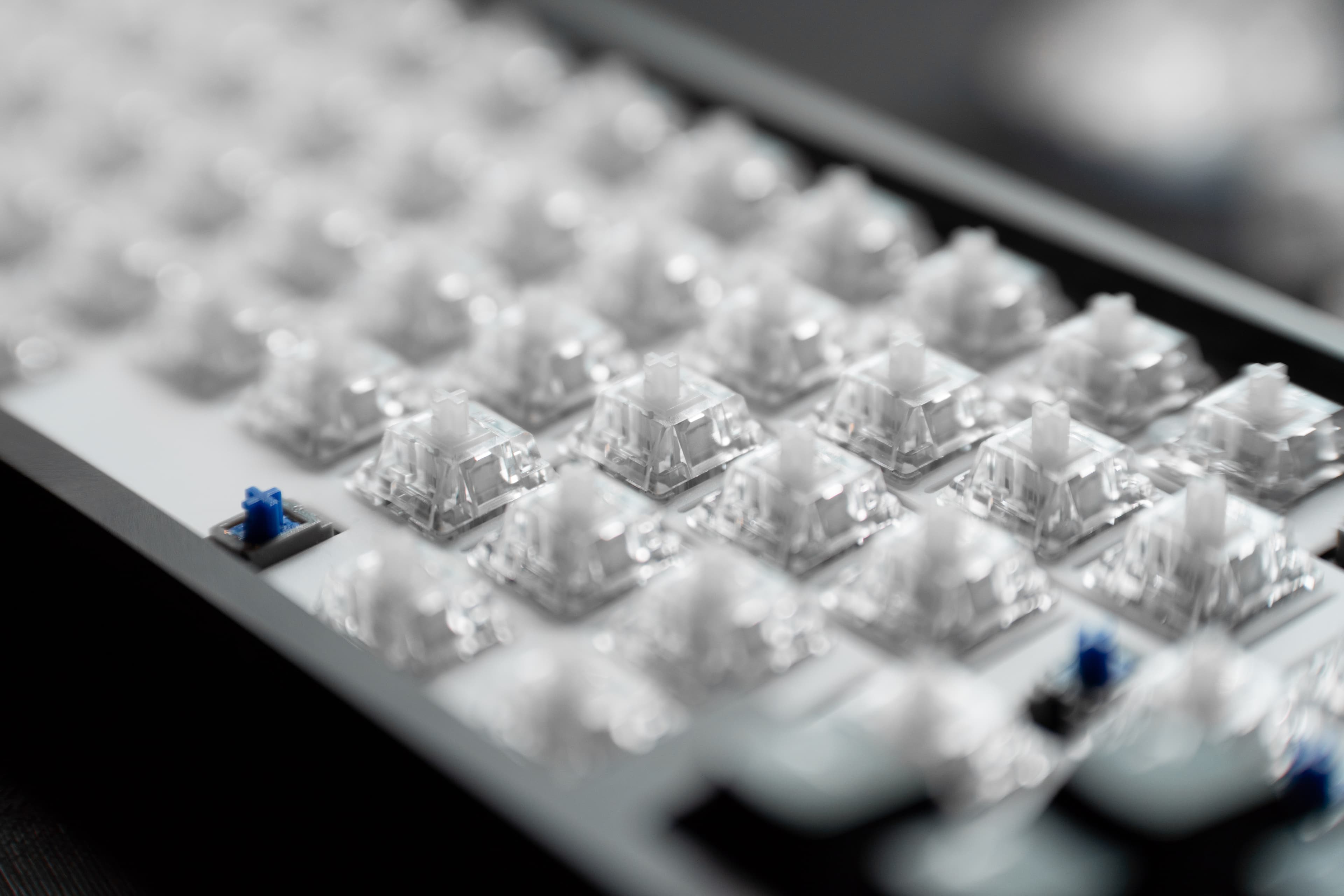 Smooth & Thocky | AM Icy Silver Pro Switches image 5