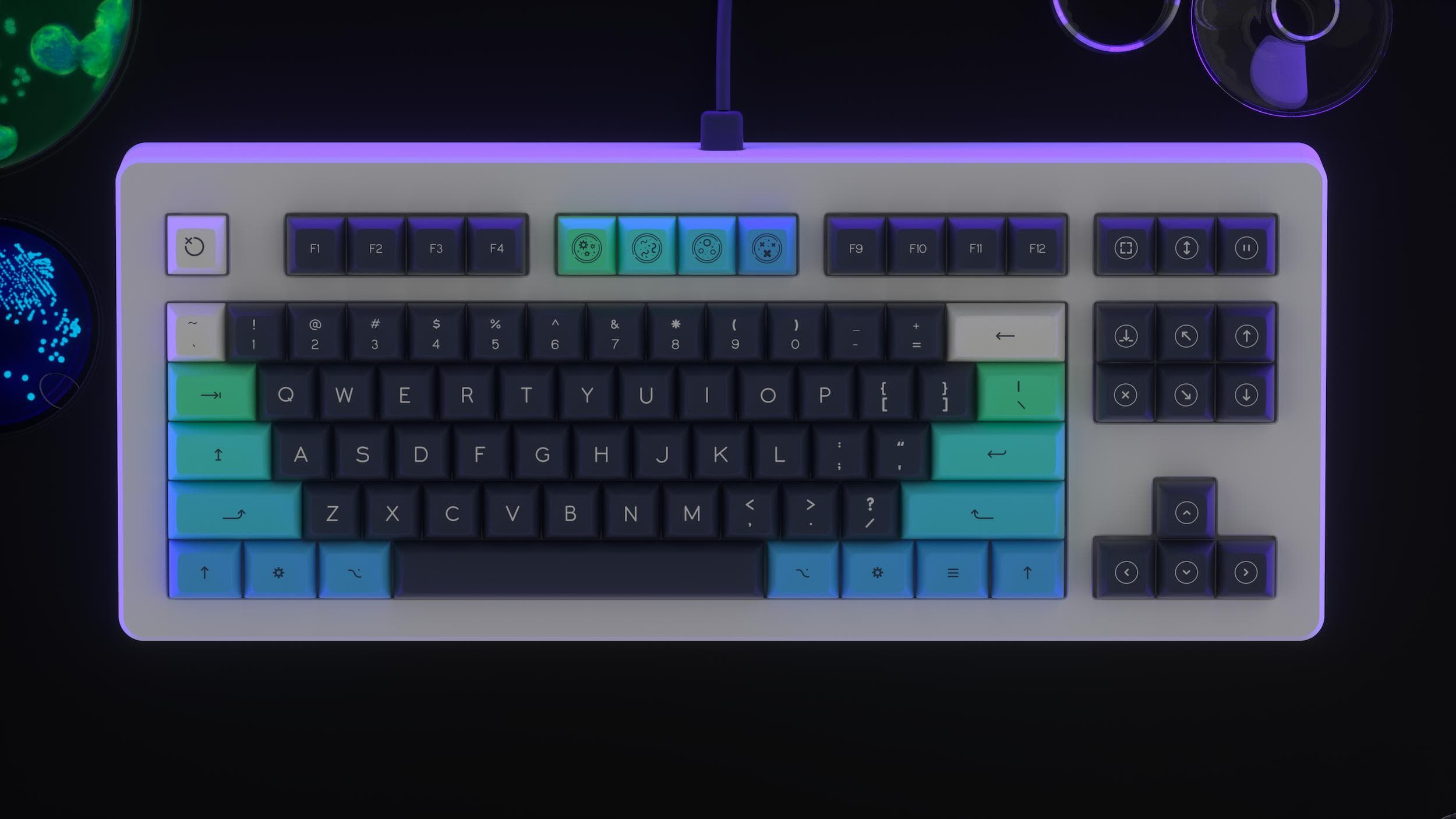 DSA PetriKeys ✨ | GB April 5 | Final Kitting + Collaborations Announced! image 49