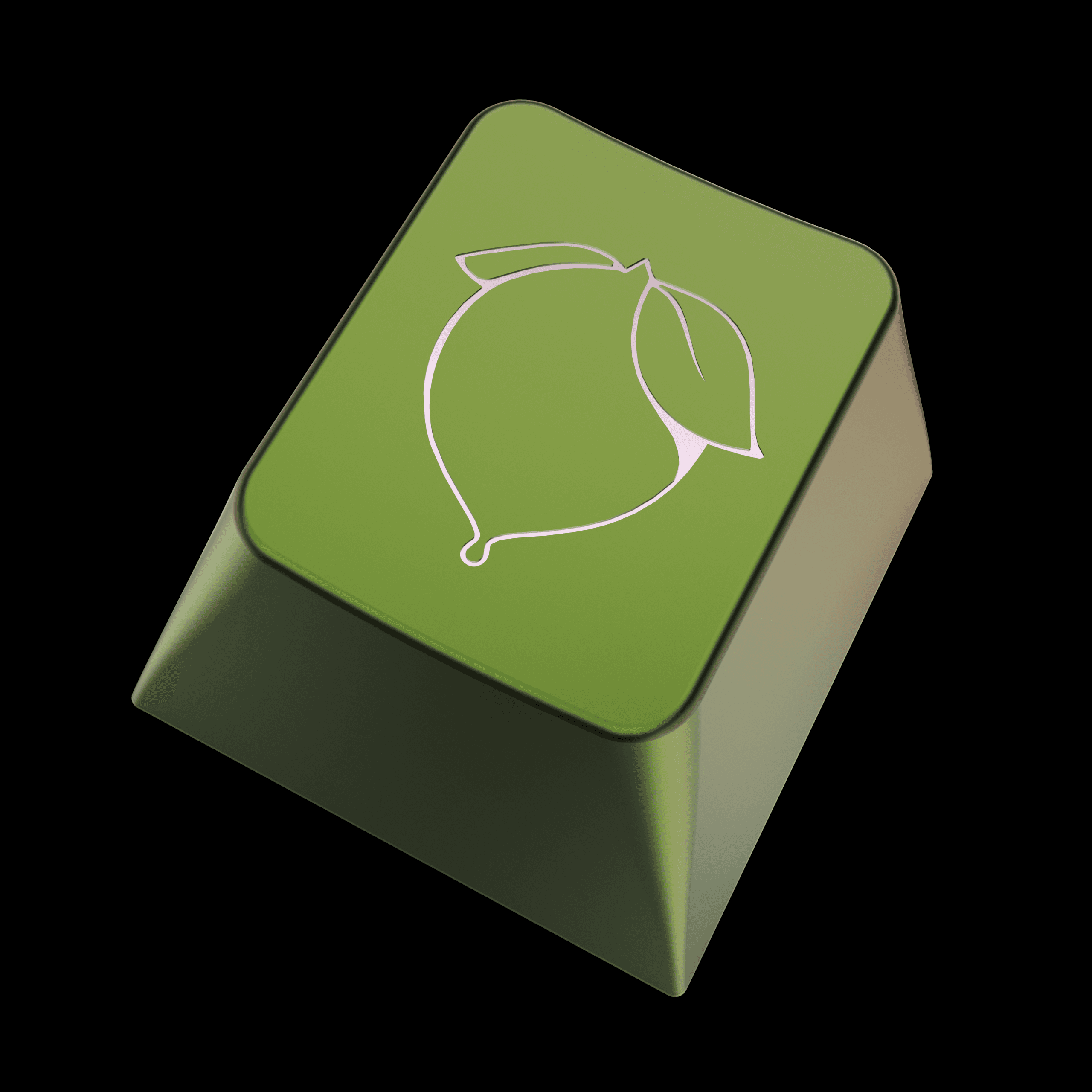 EPBT Pomelo | Archived image 17