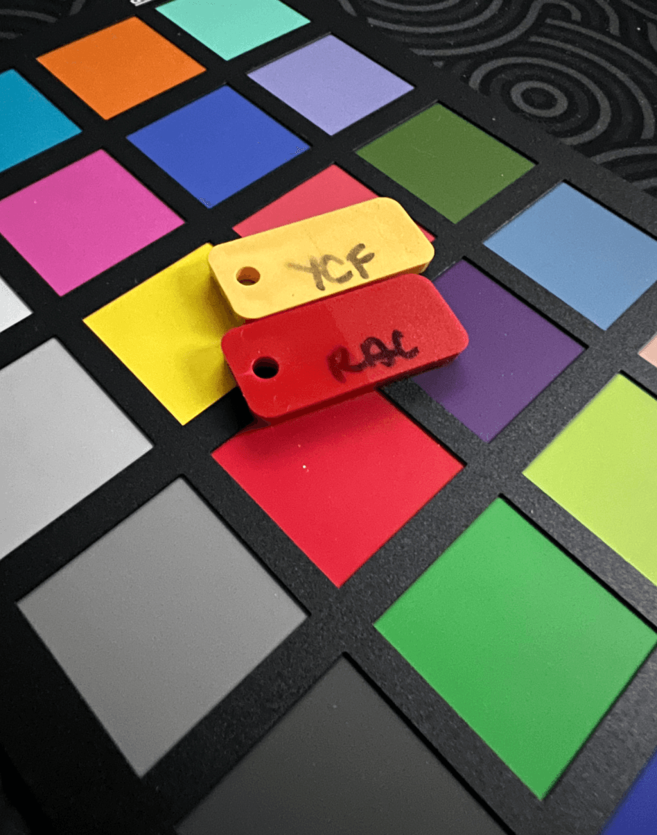 SA Lunar New Year image 3