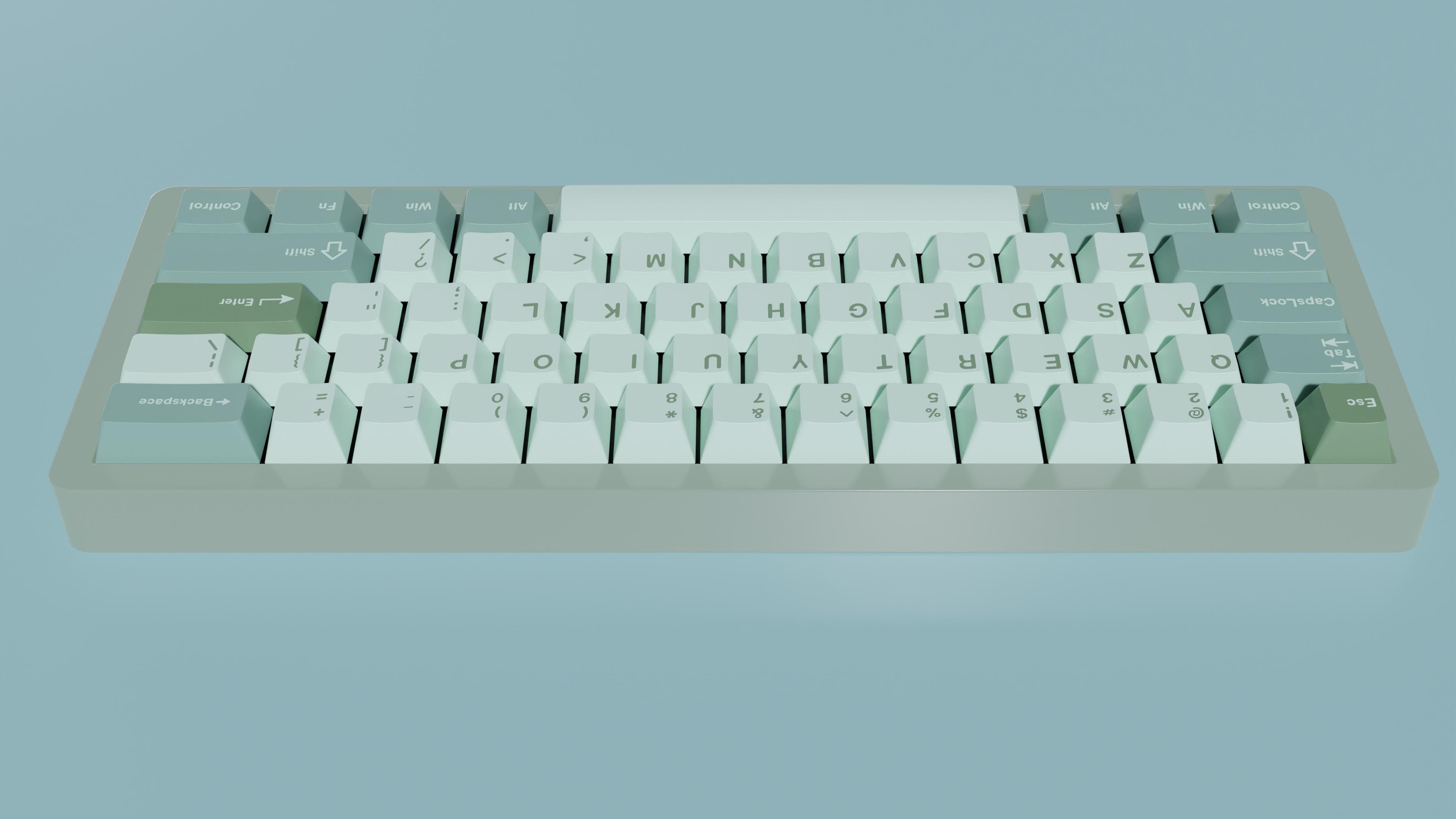 GMK Eucalyptus image 4
