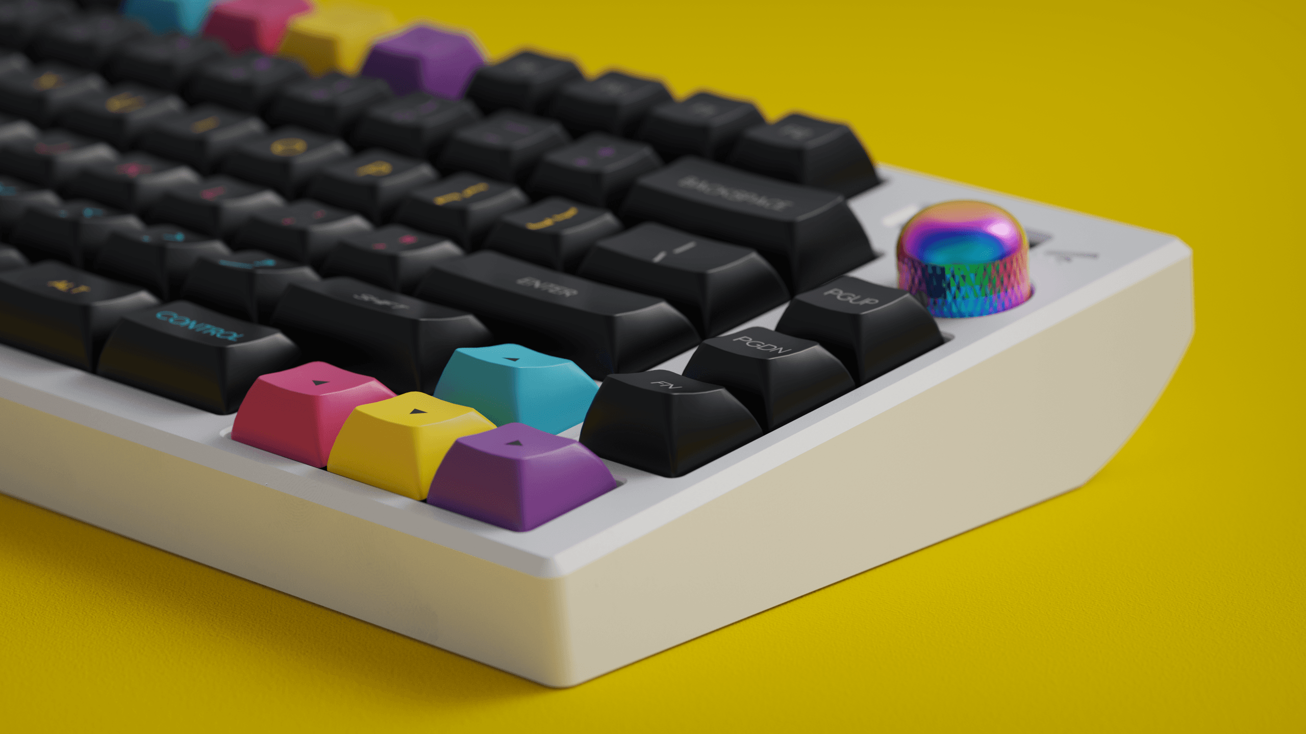 DSS CMYPWade image 13