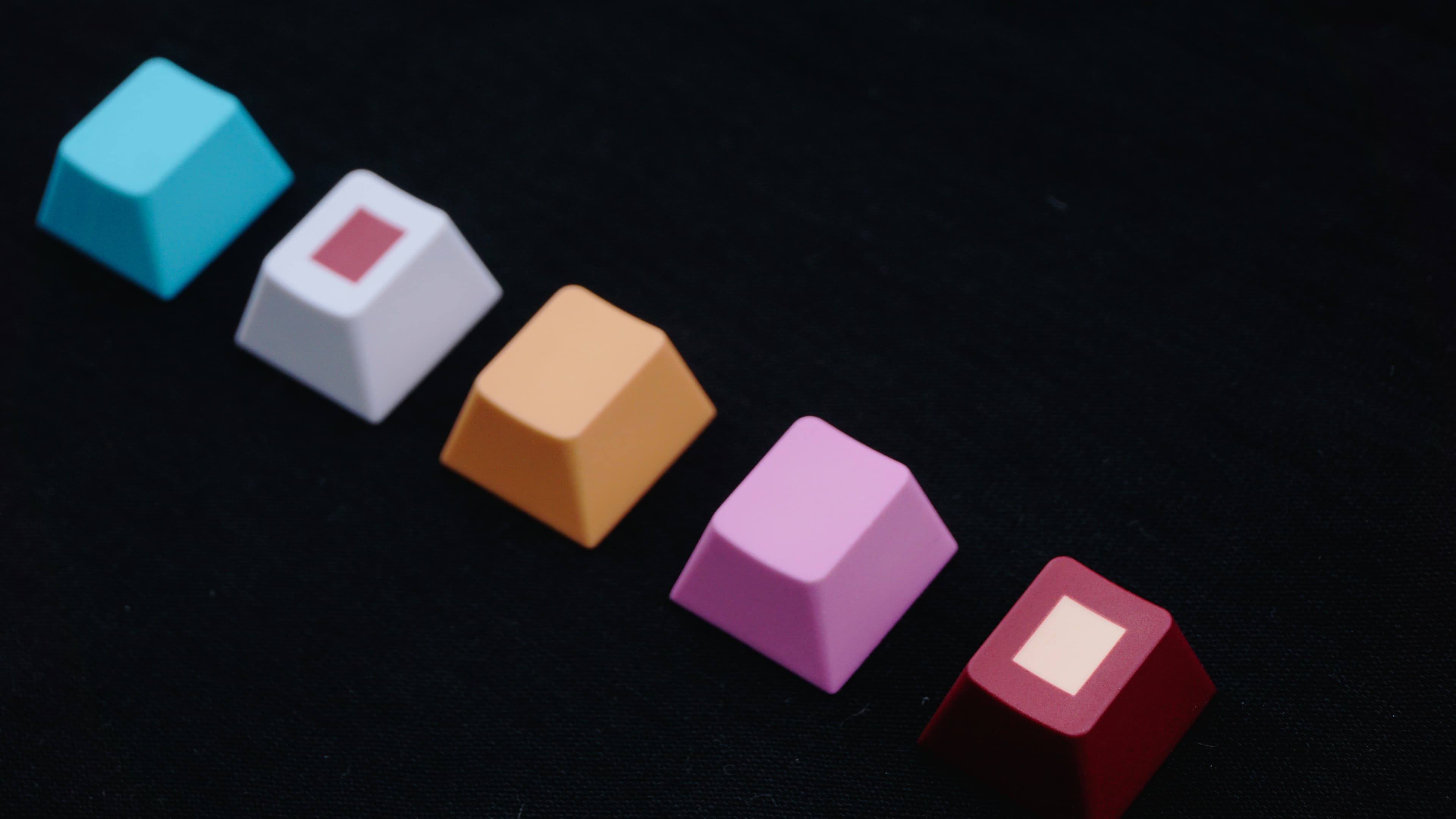 WSPBT Senkou | 28 May - colour samples image 23