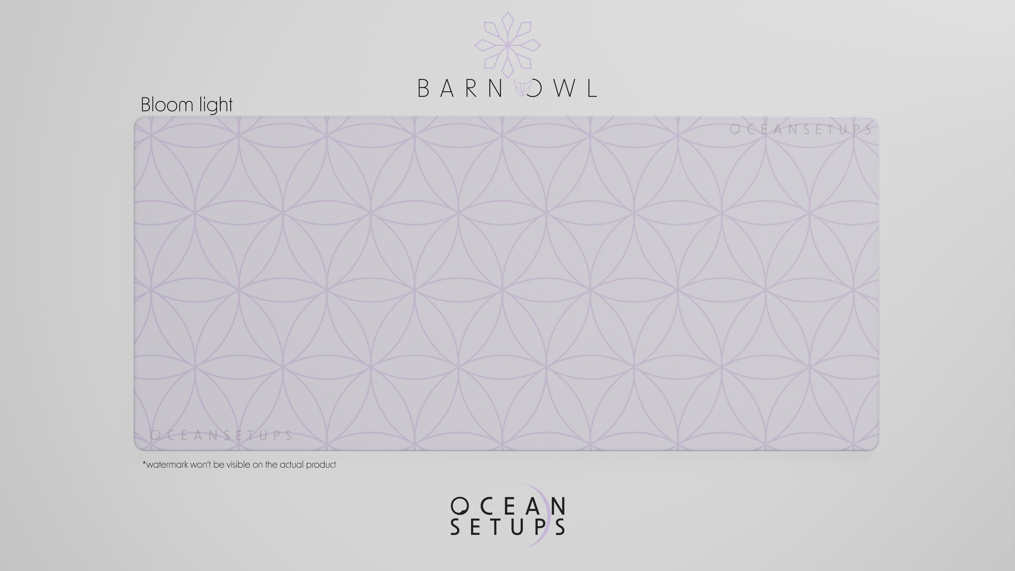 TomoCaps - Barn Owl image 5