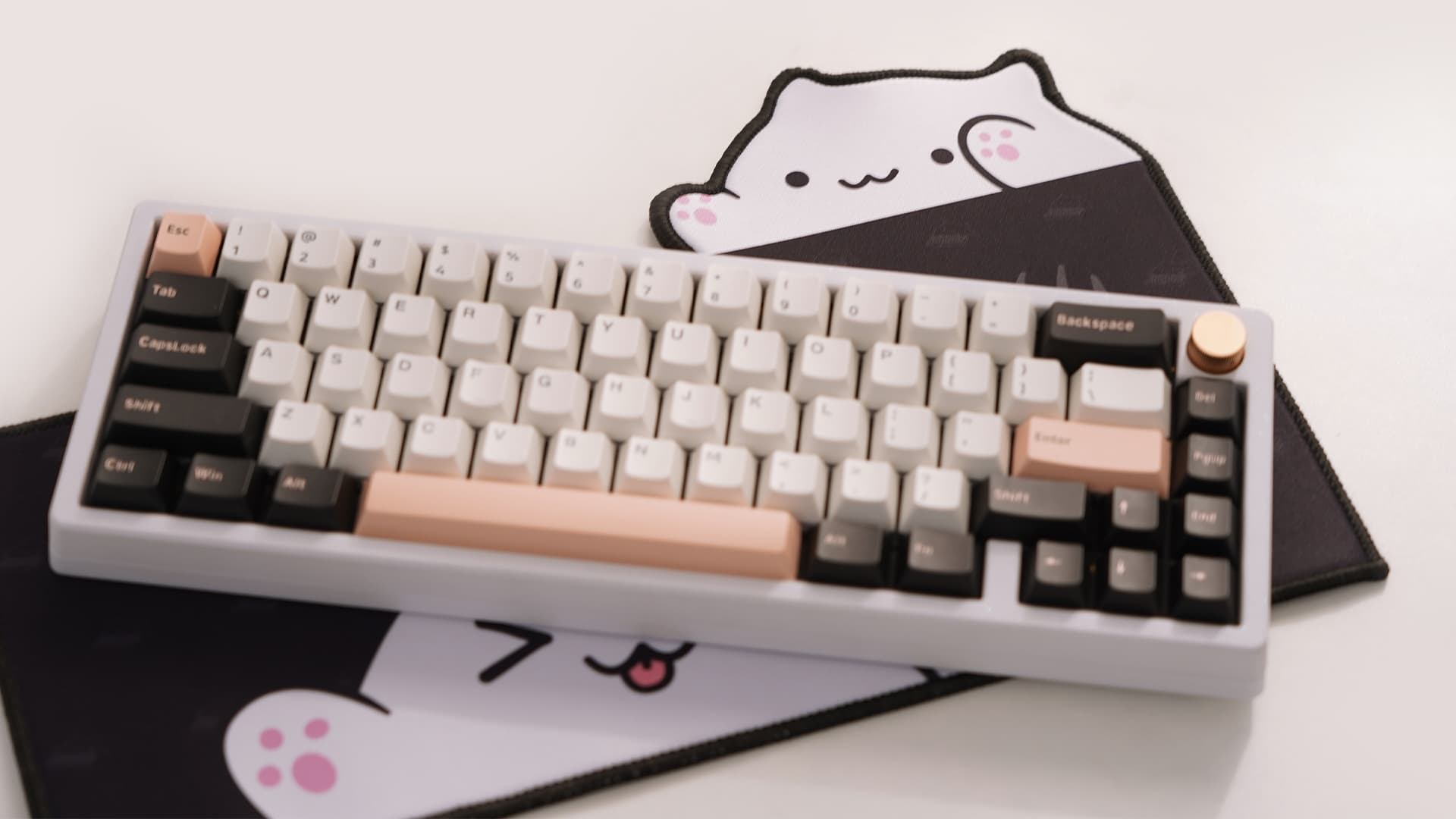 Clickitty Clackitty Catpads (aka Bongomat) - GB Live - ends 30 Dec