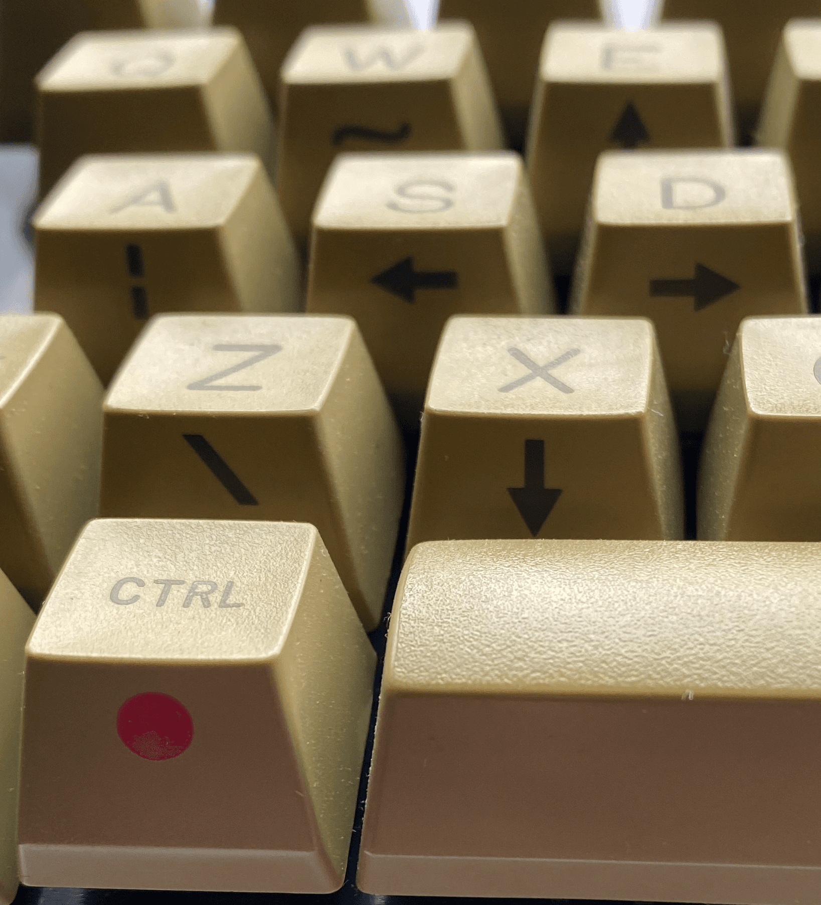 DCS Estate- PRICING ANNOUNCED - GB APRIL 18th - MAY 20th image 3