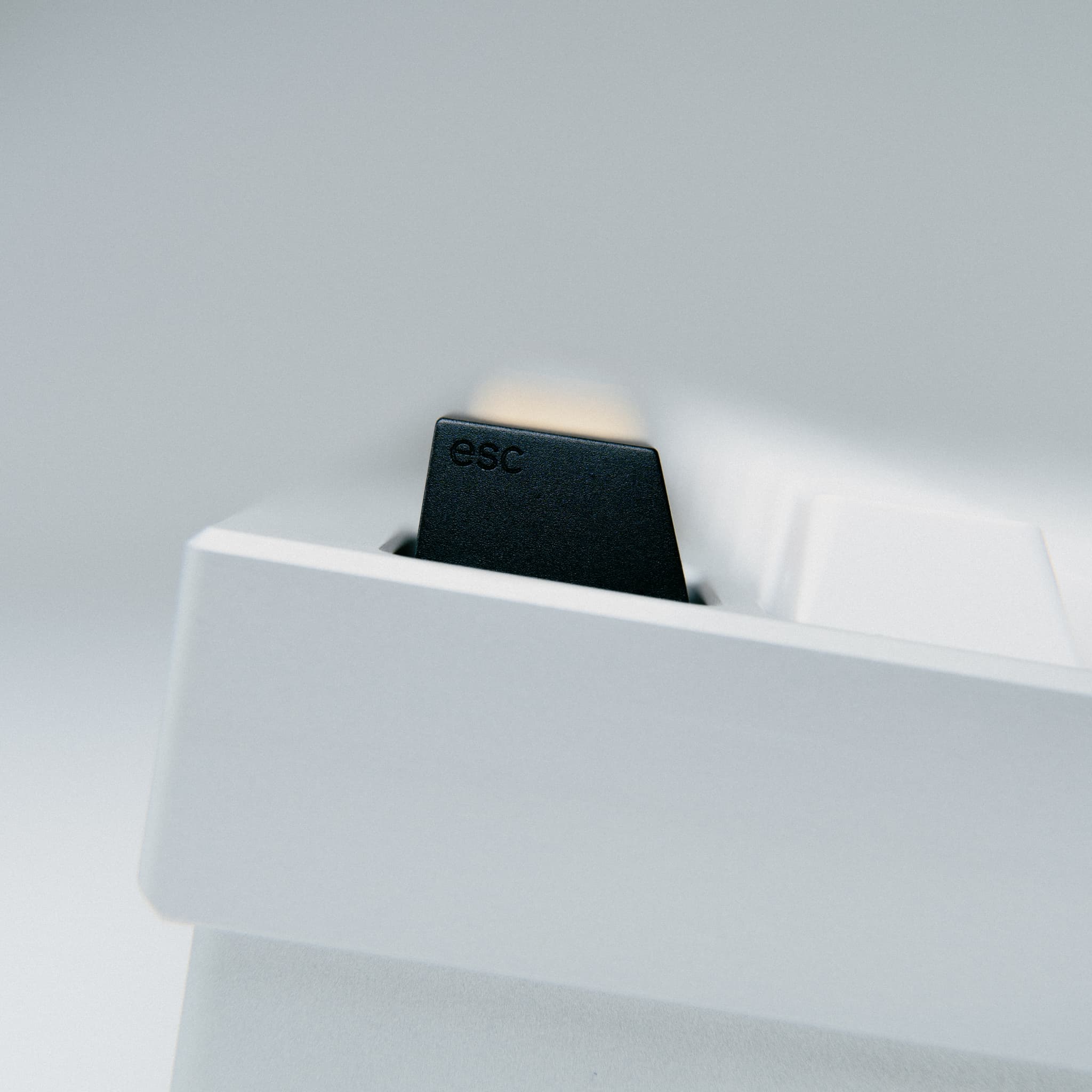 Series 00 // GB on March 24! image 24