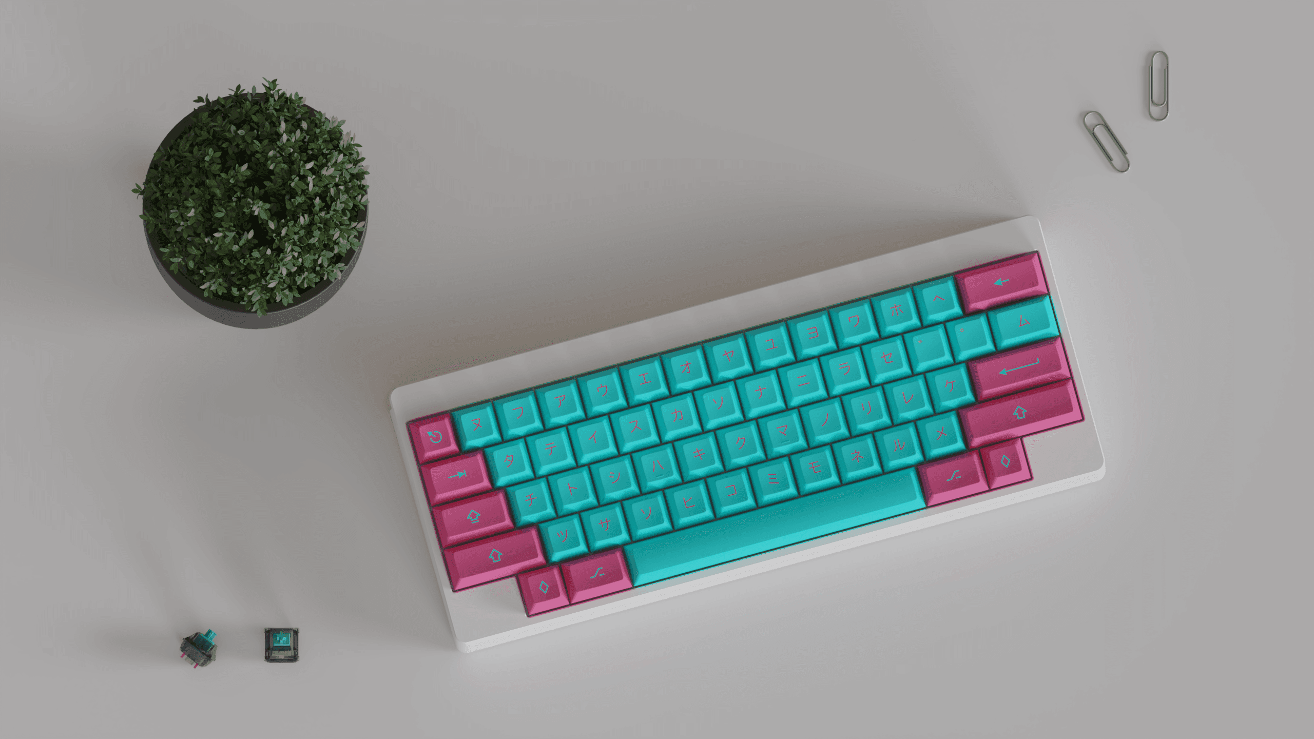 KAT Miami and Miami Nights (REBOOTED 2024) image 16