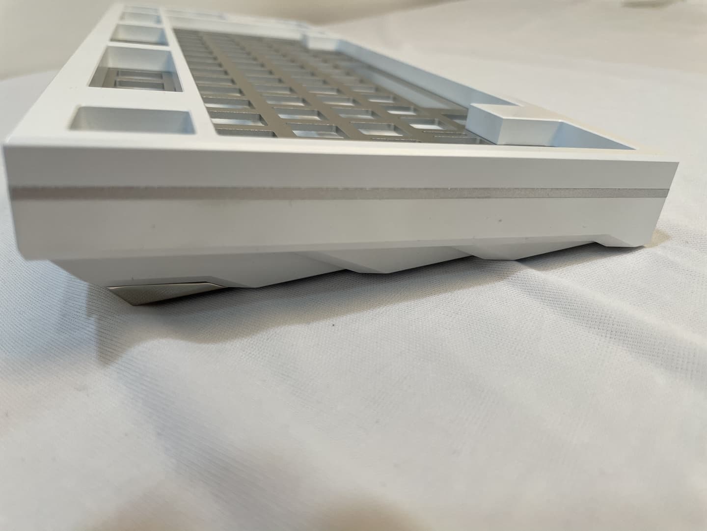 Serratus by Keynergy image 27