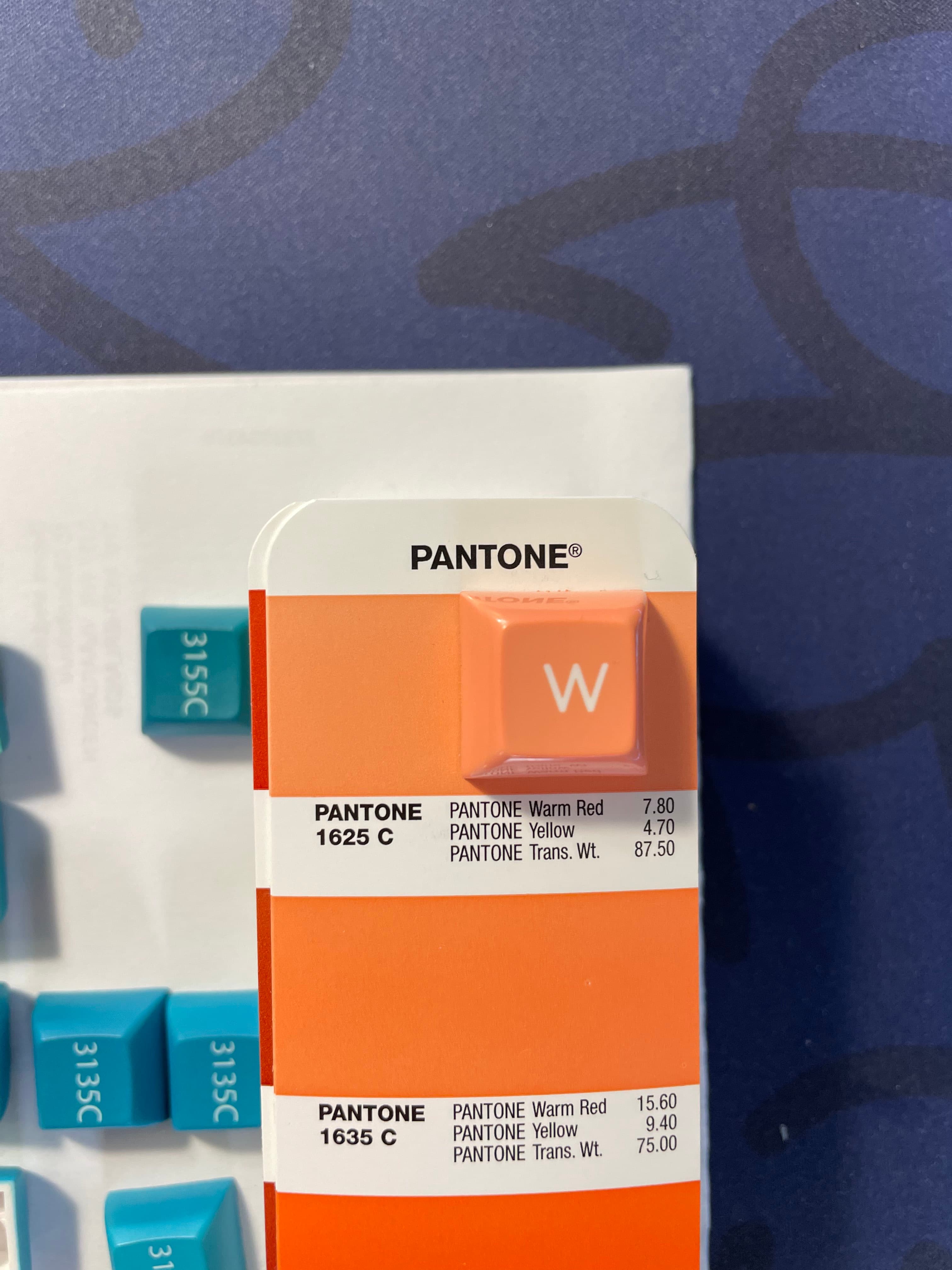 KAM Ocean Front - Update - Groupbuy up! image 36