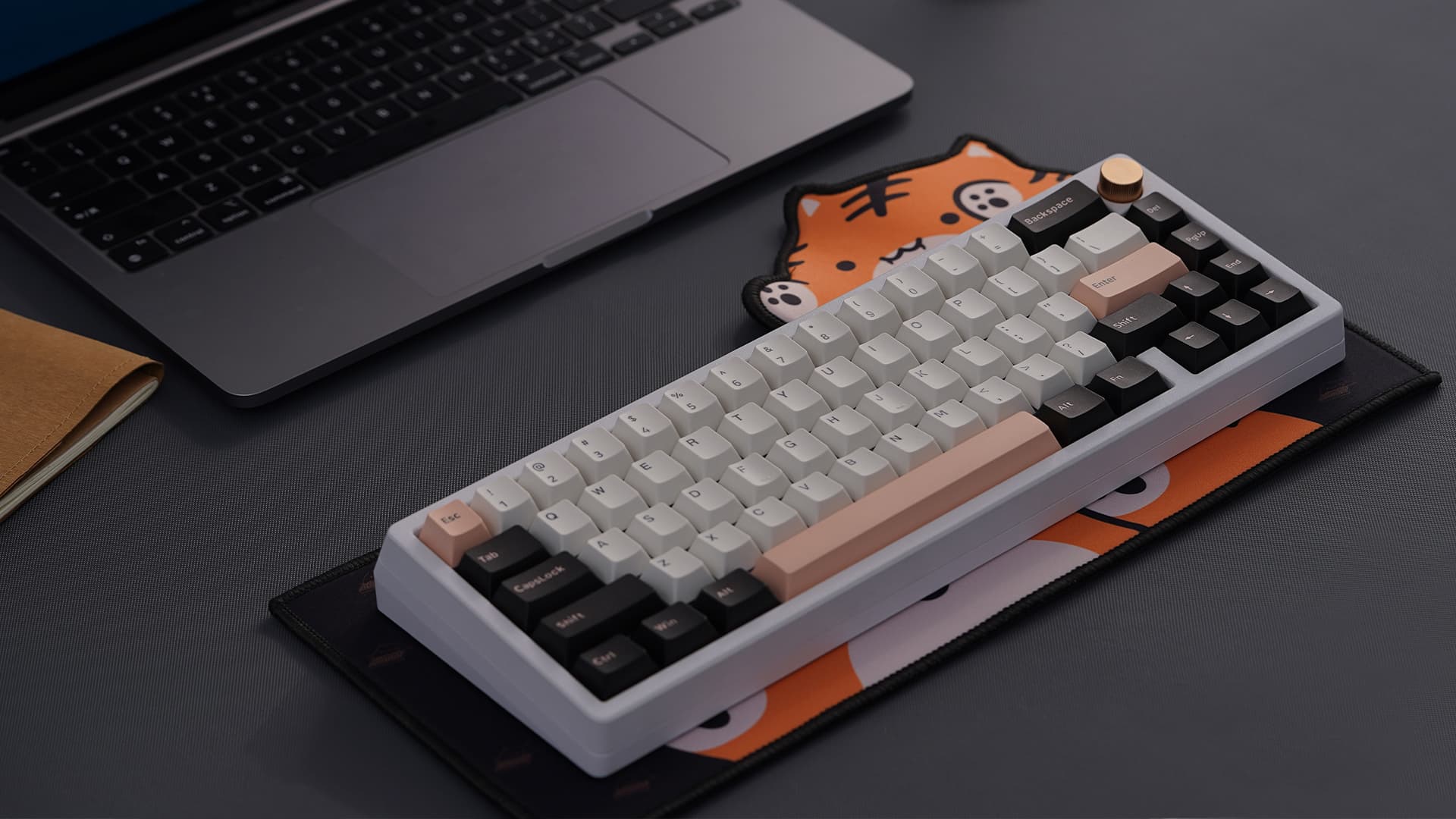 Clickitty Clackitty Catpads (aka Bongomat) - GB Live - ends 30 Dec image 33