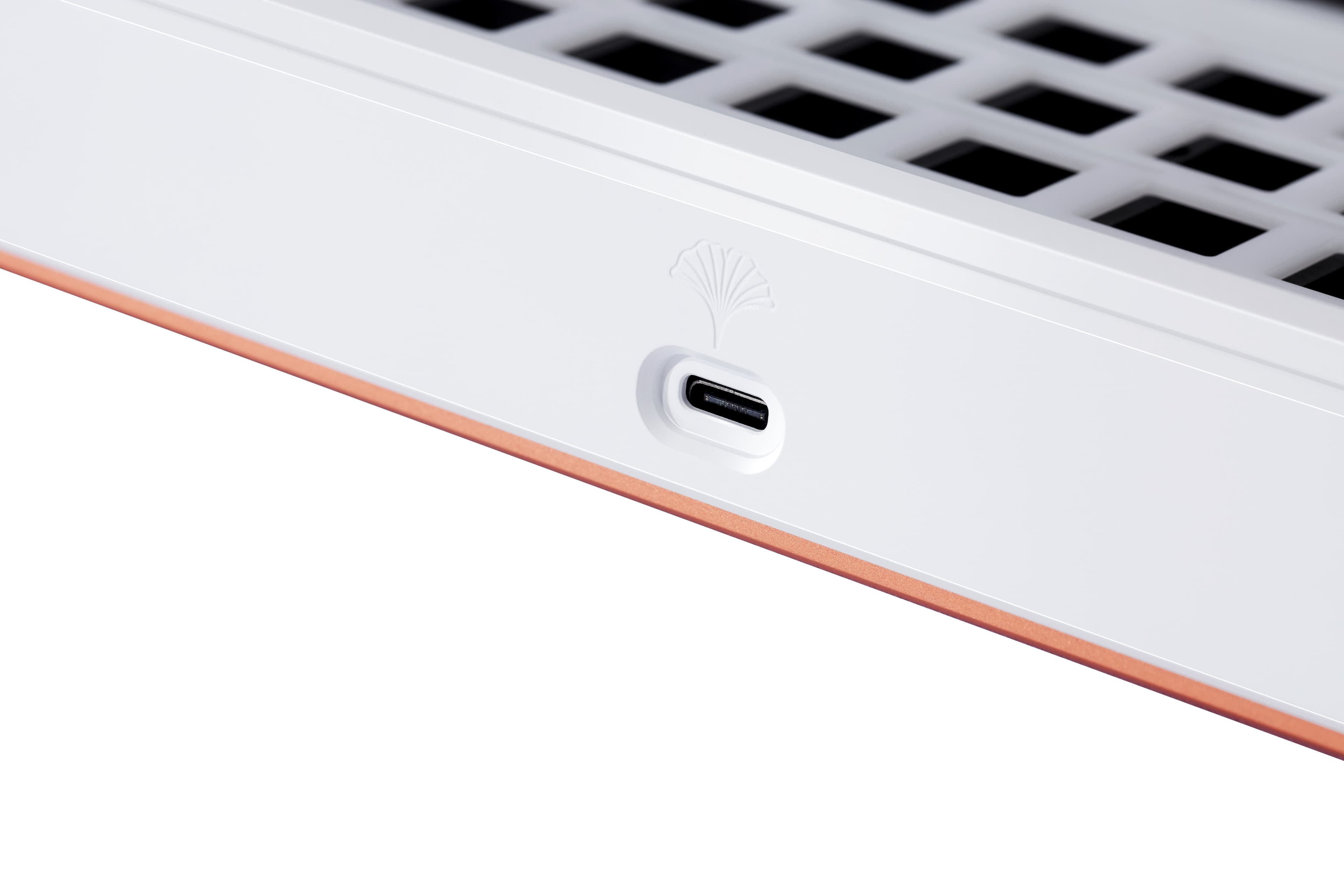 Ginkgo65- Gasket Mount Alu Kit - GB is LIVE image 5