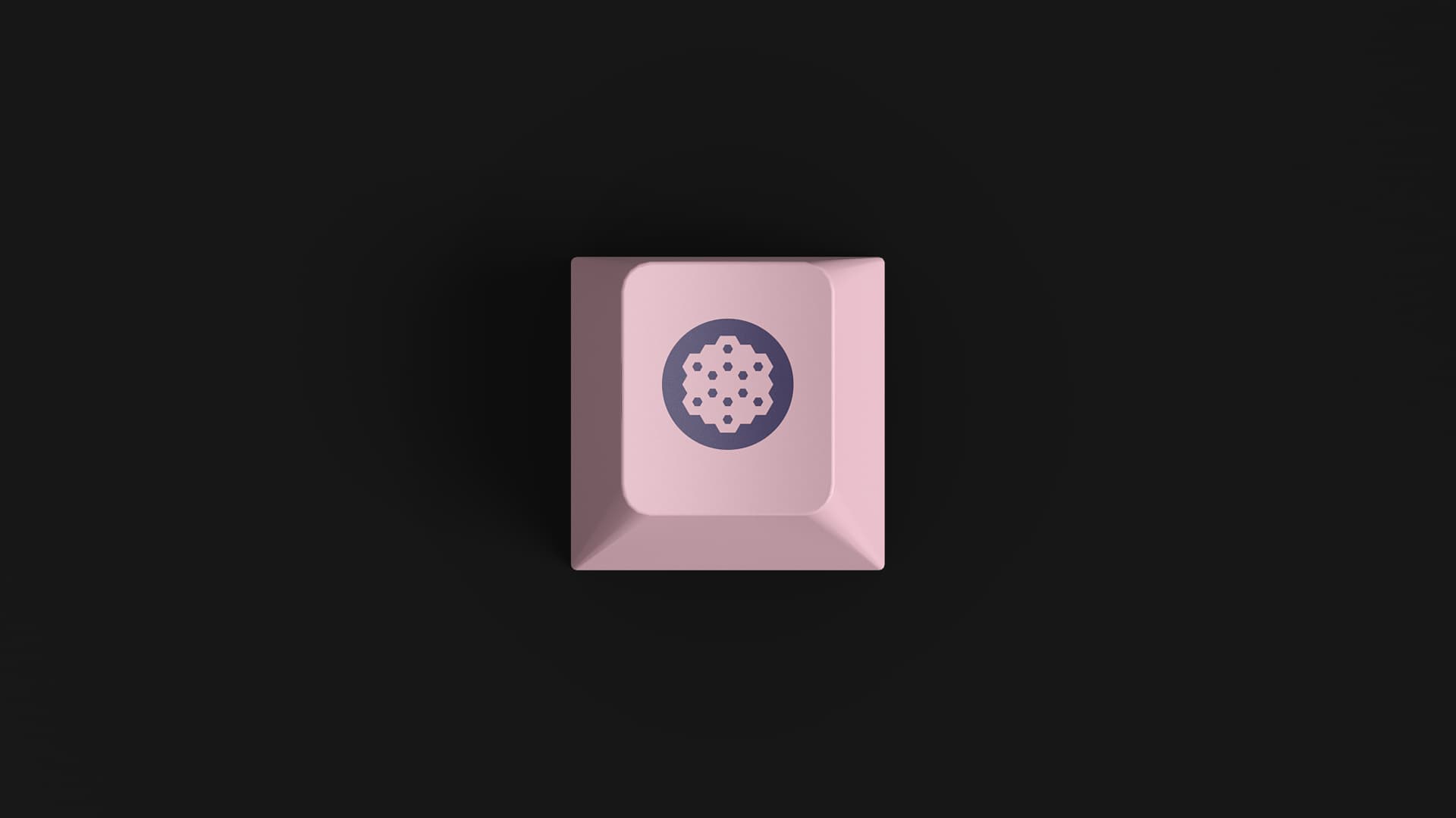 DMK Nebula | B for Alice Fixed image 10