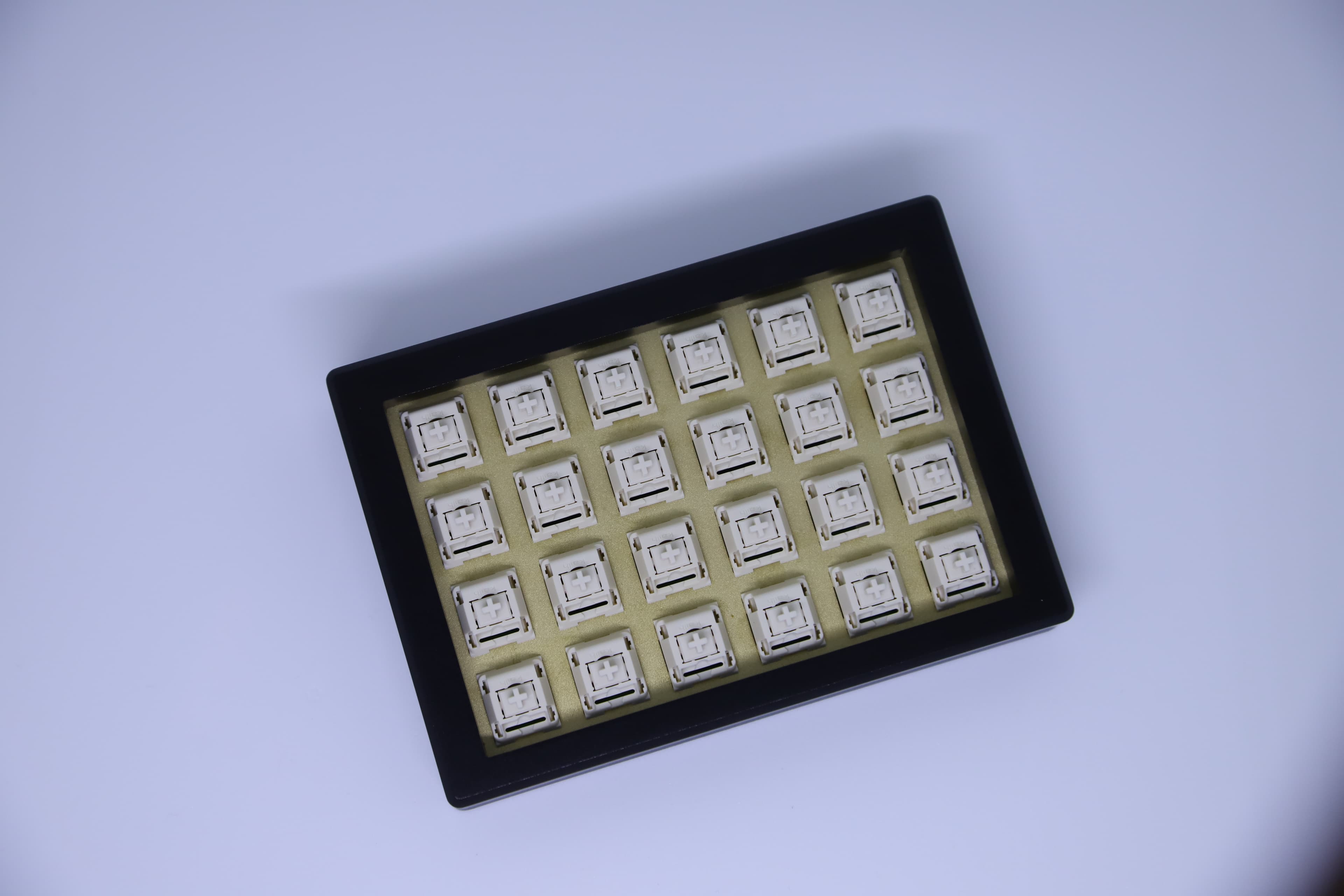 Let's Tango (Split 40% Ortho) - Final Update - On Sale Now! image 3