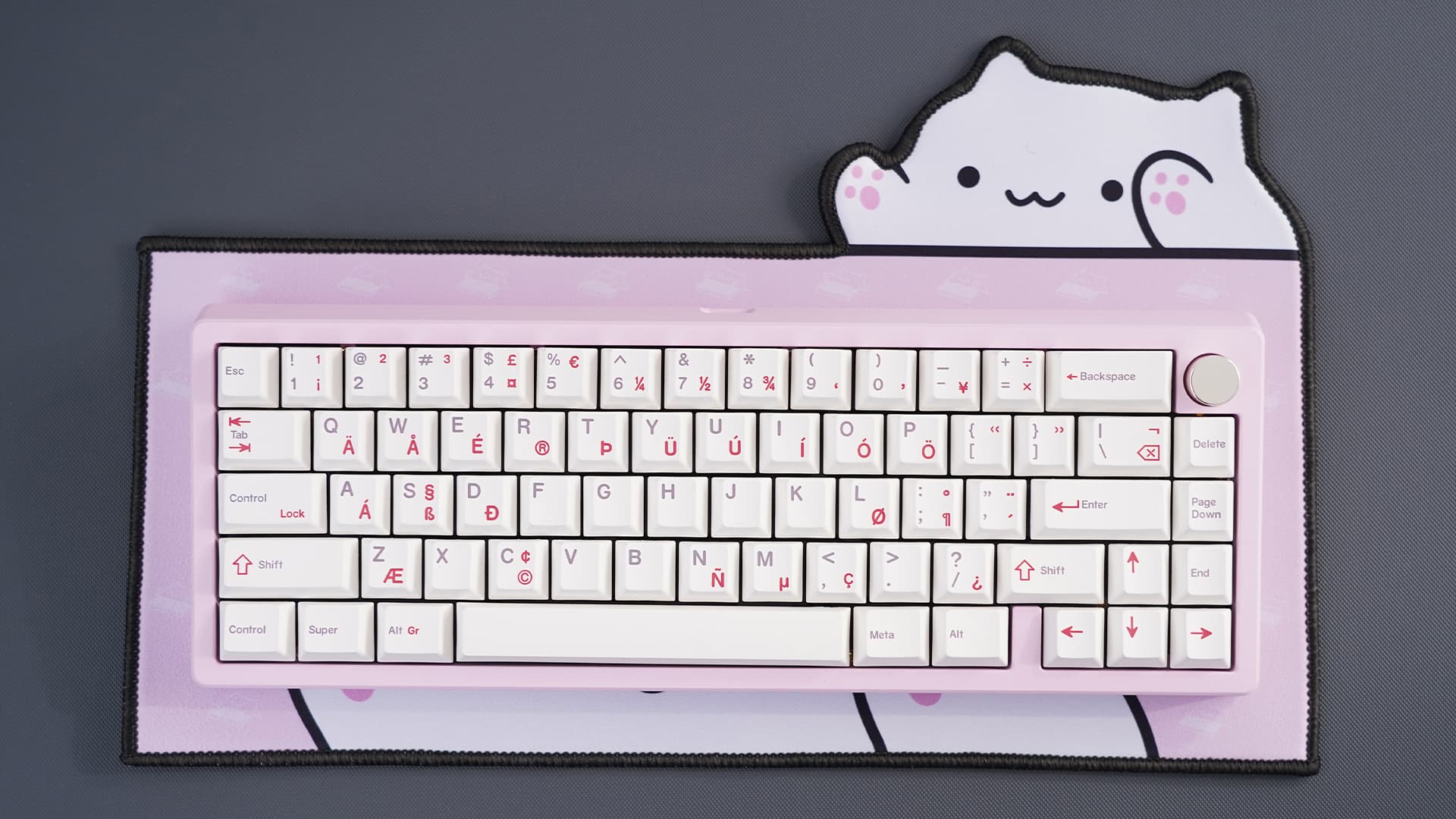 Clickitty Clackitty Catpads (aka Bongomat) - GB Live - ends 30 Dec image 28