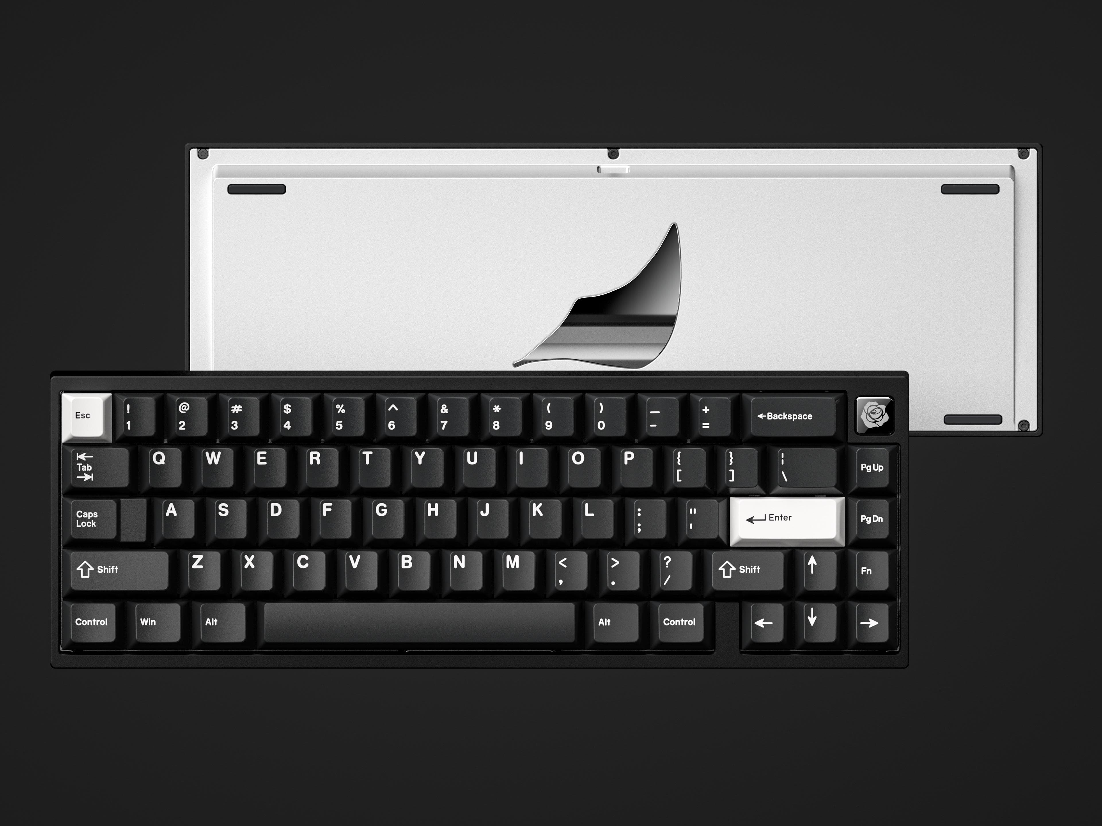 Roze 65 | The Darkness Rises When The White One Slumbered image 7