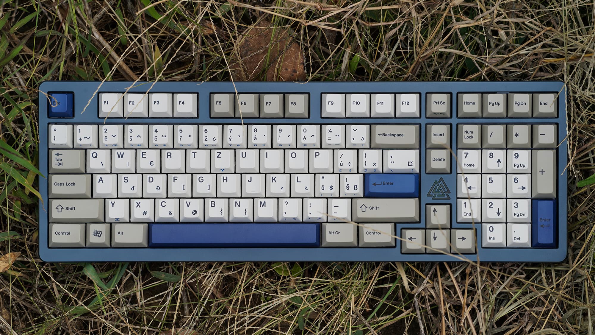 Enjoypbt 3000SAT (Group buy live) image 3