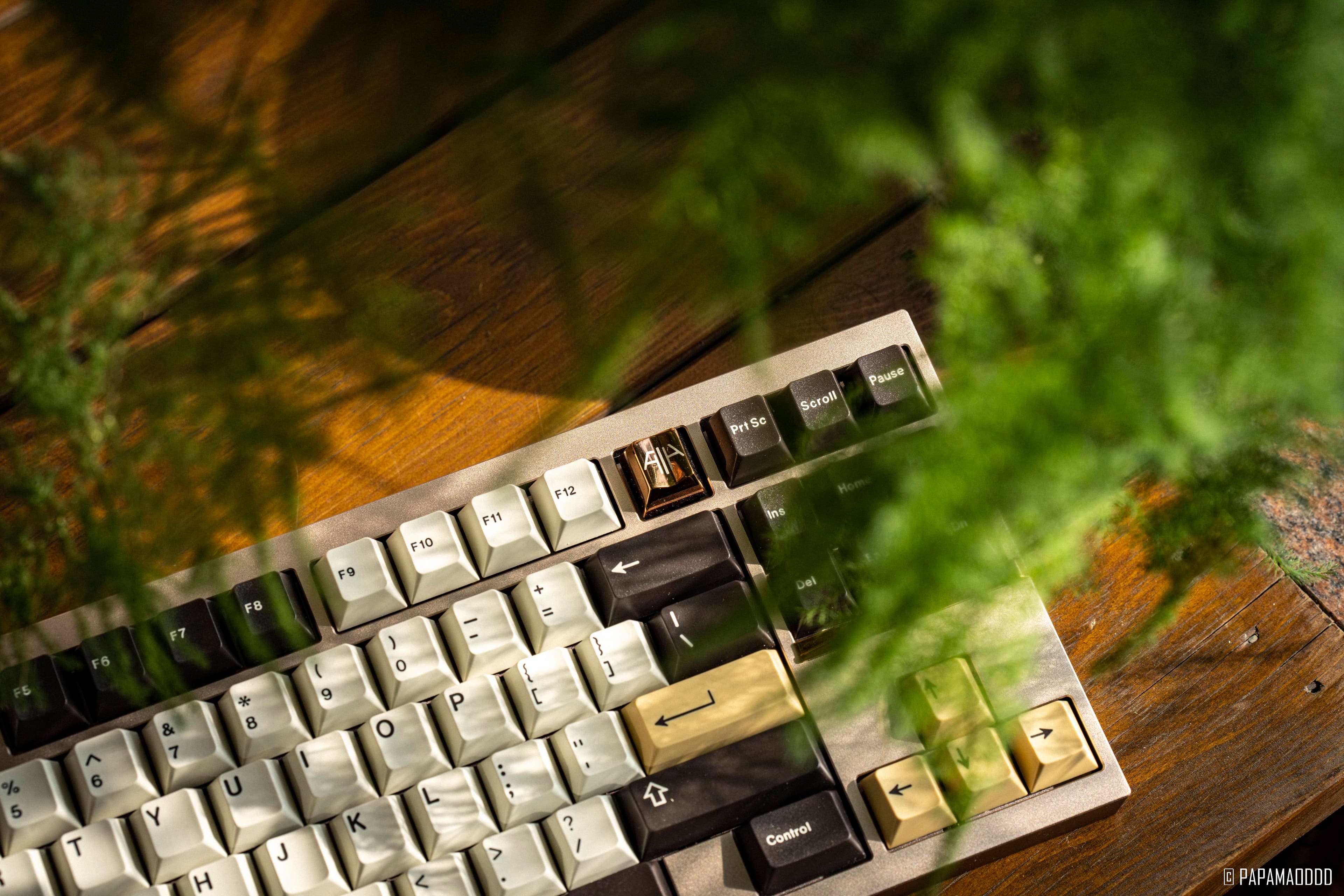 Haven TKL - An 80% Keyboard with F13 Layout image 9