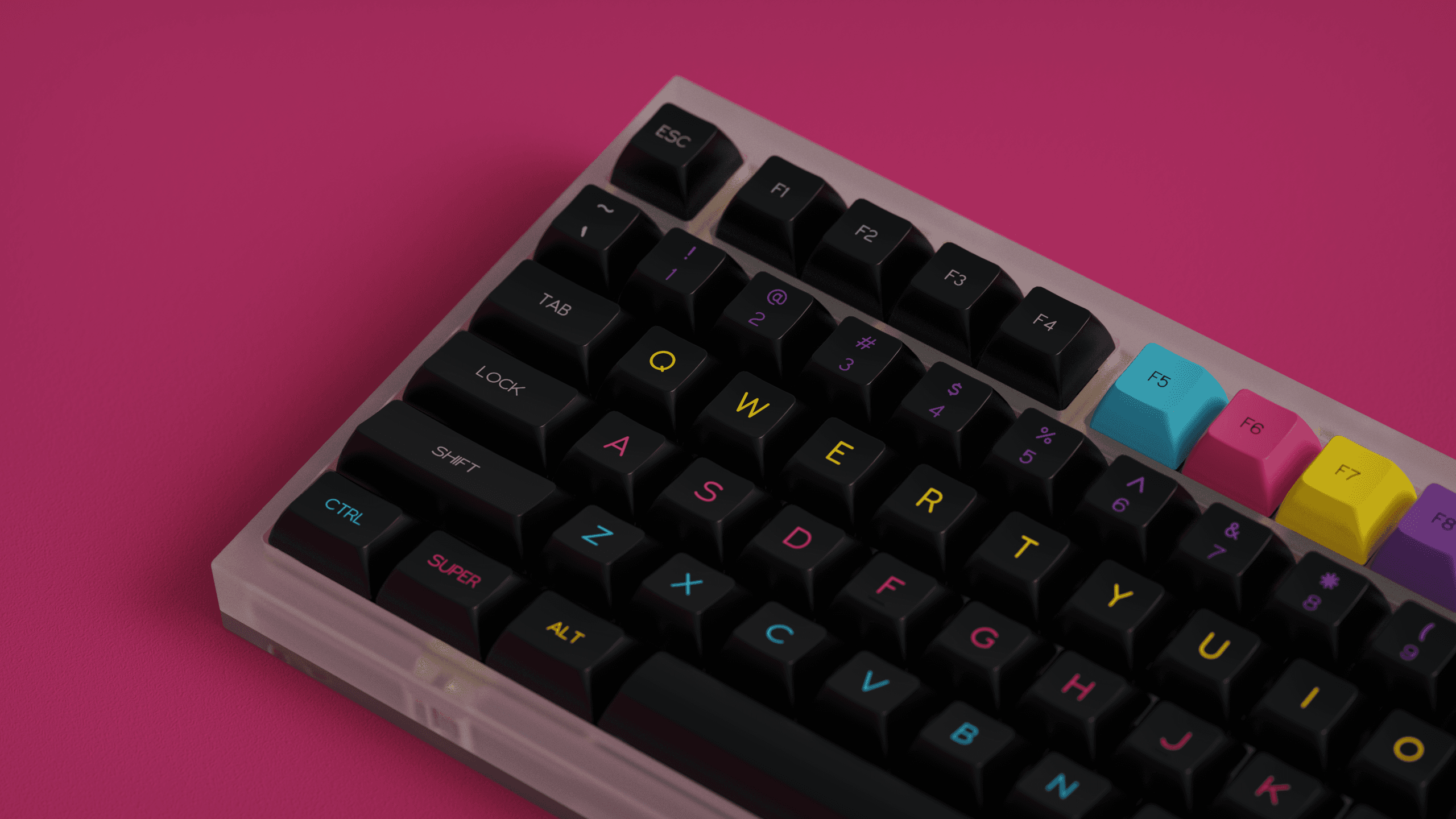 DSS CMYPWade image 12