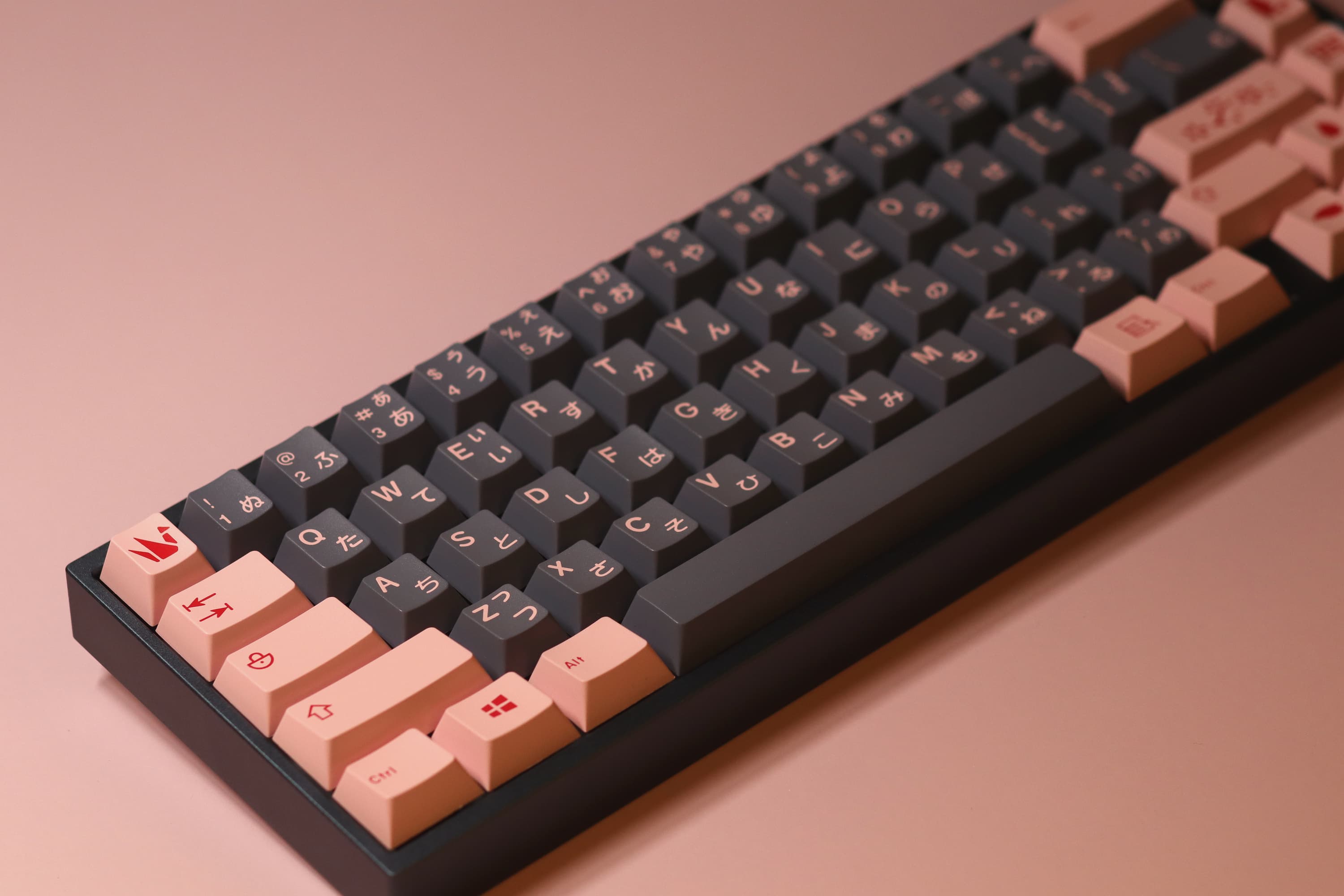 Roze 65 | The Darkness Rises When The White One Slumbered image 13