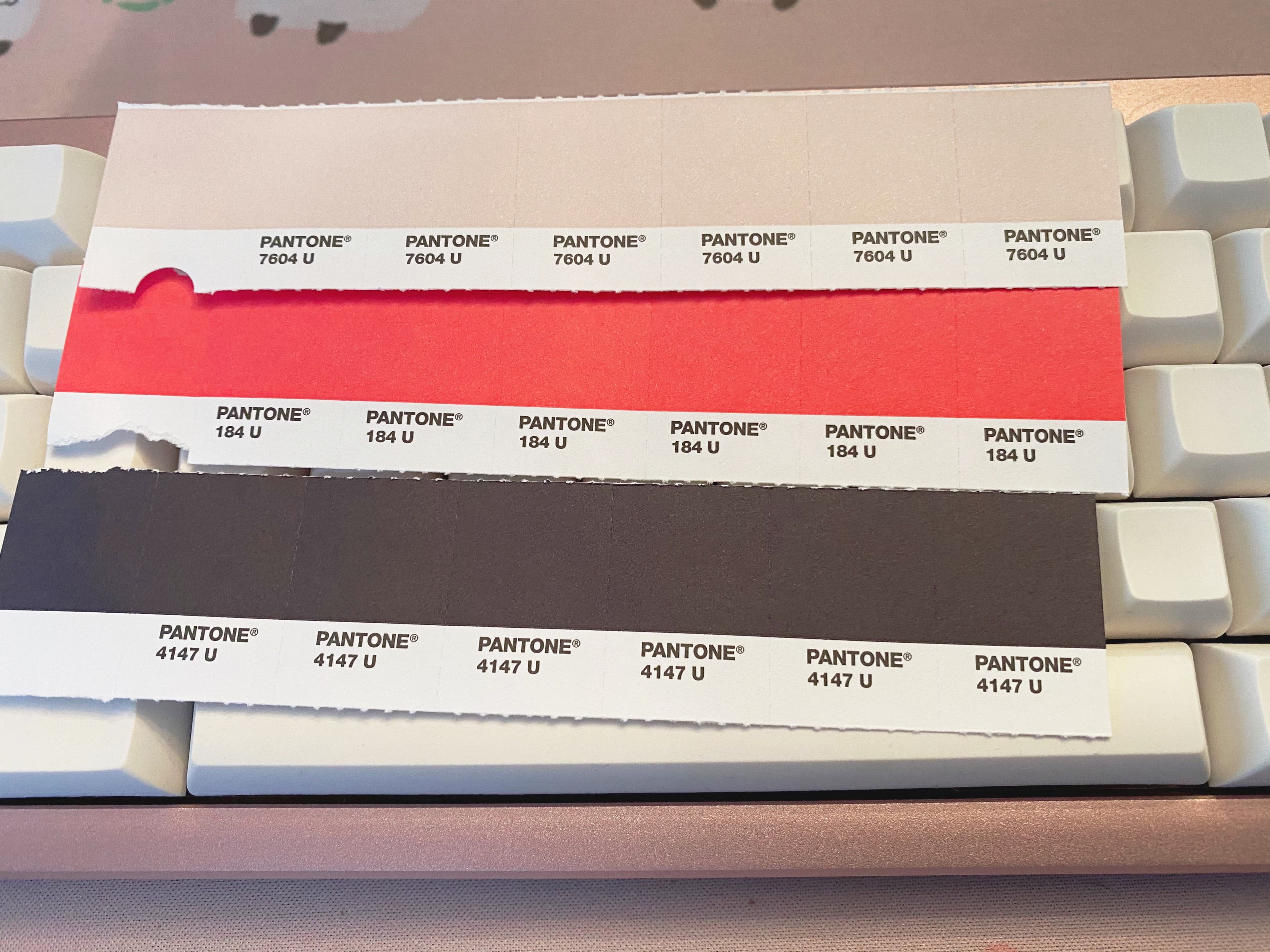 SA Fledgling - GB starts August 25! Salvun collab cap and 1stGarden deskmat image 28