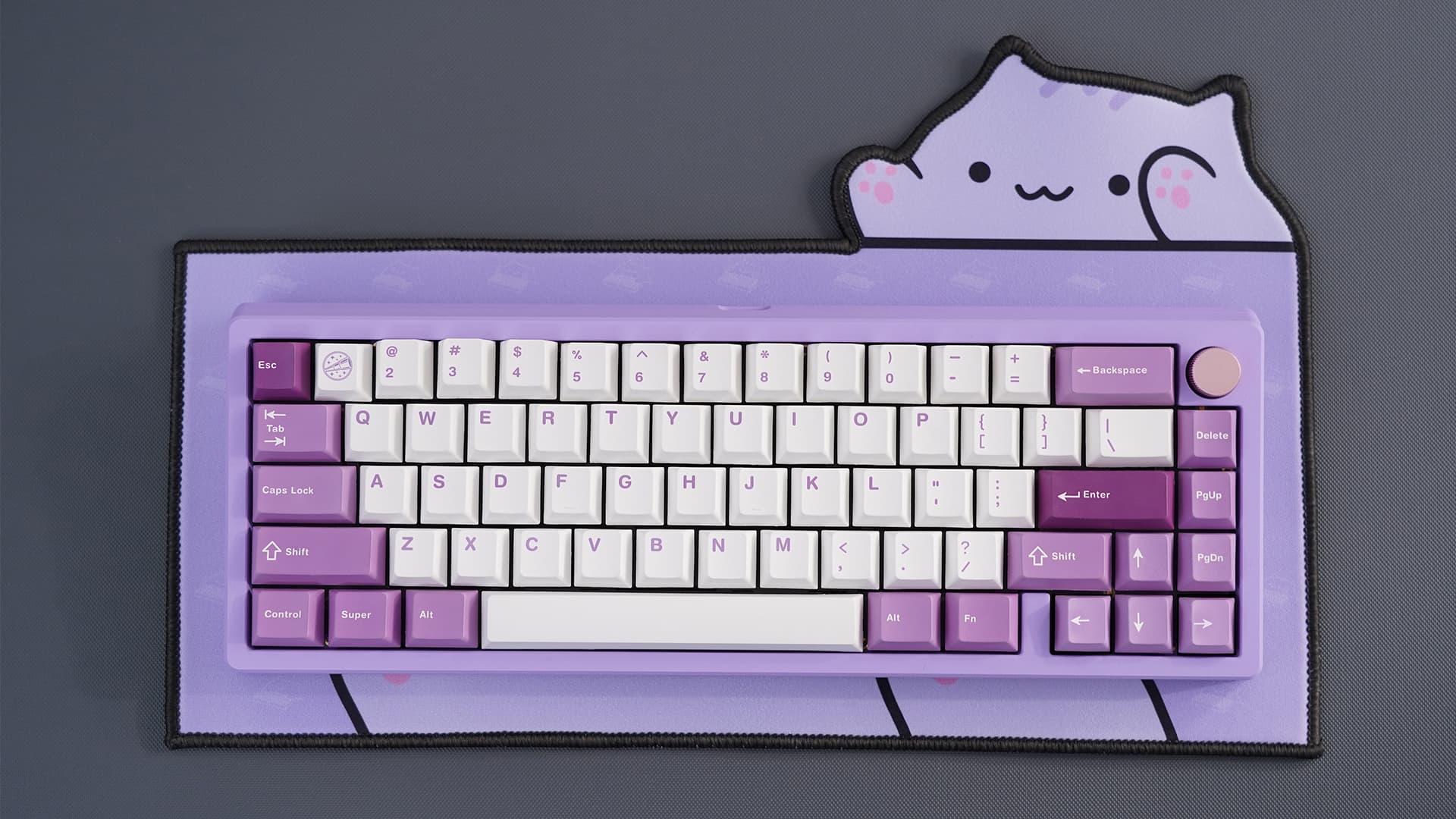 Clickitty Clackitty Catpads (aka Bongomat) - GB Live - ends 30 Dec image 26