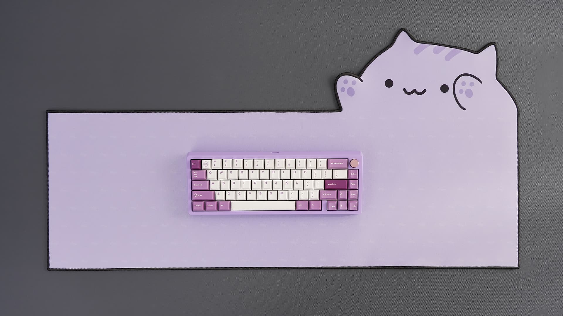 Clickitty Clackitty Catpads (aka Bongomat) - GB Live - ends 30 Dec image 5