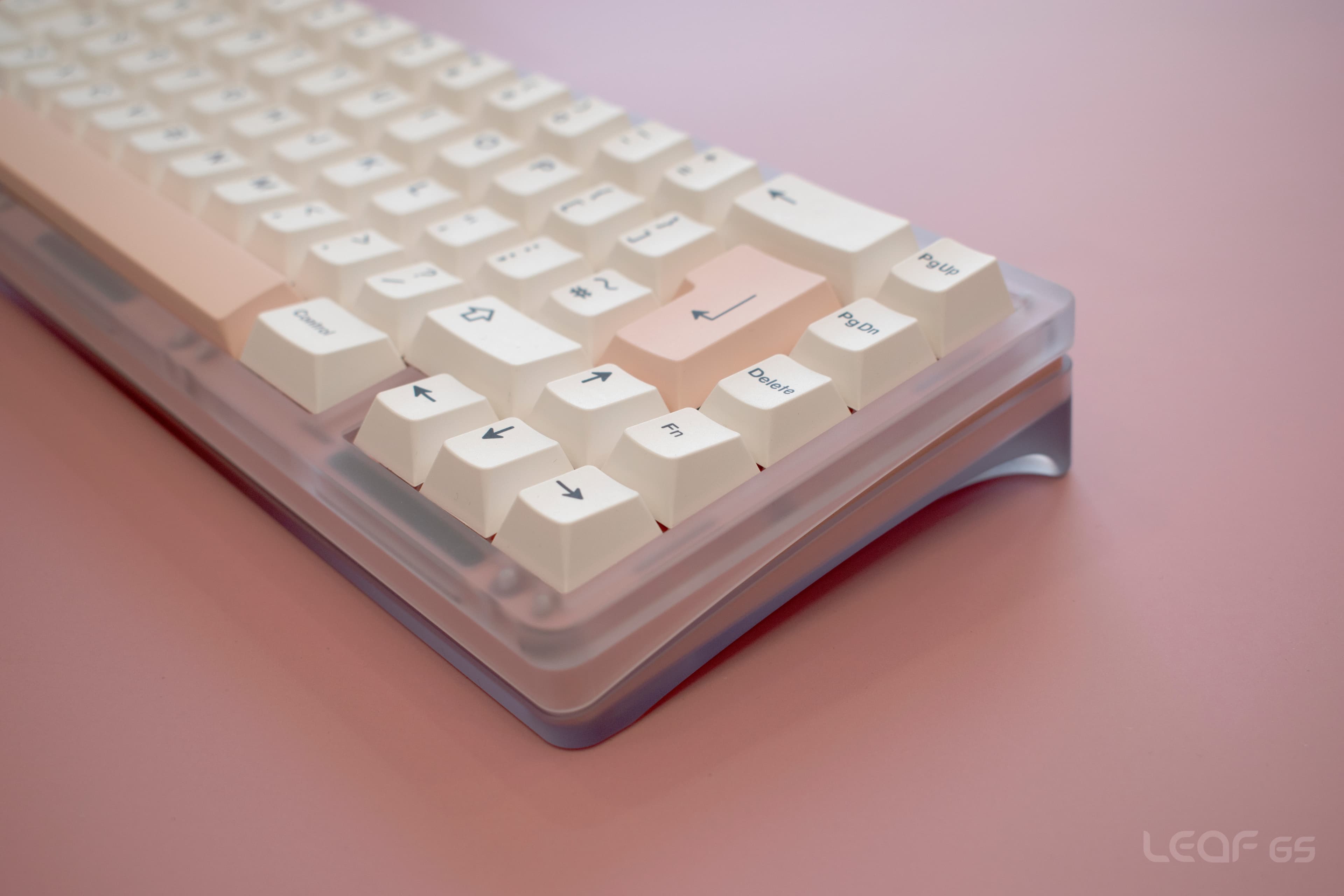 Fox Lab - Leaf 65% image 13