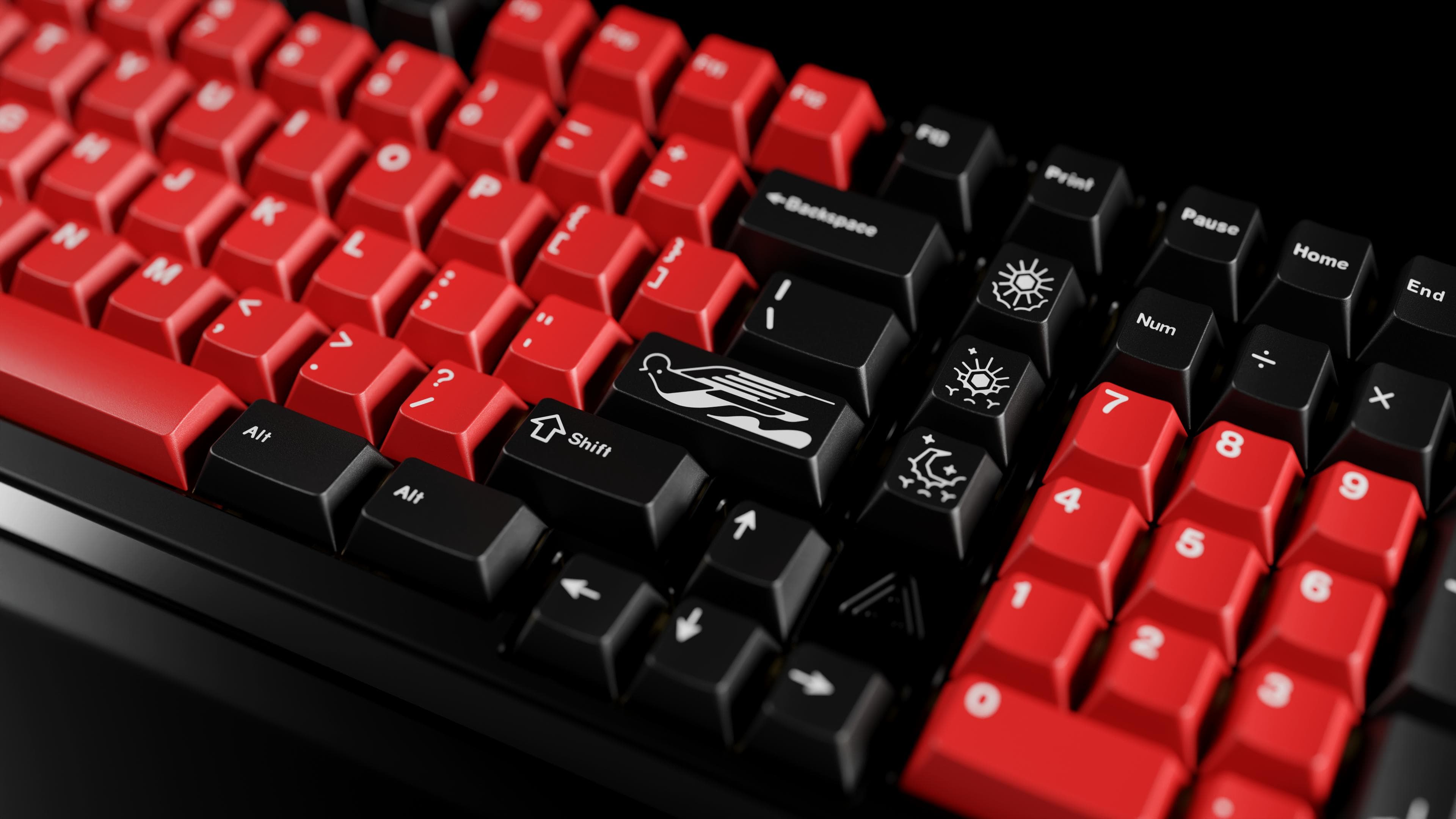 DCX Rocky Bird - Pre order is LIVE! image 9