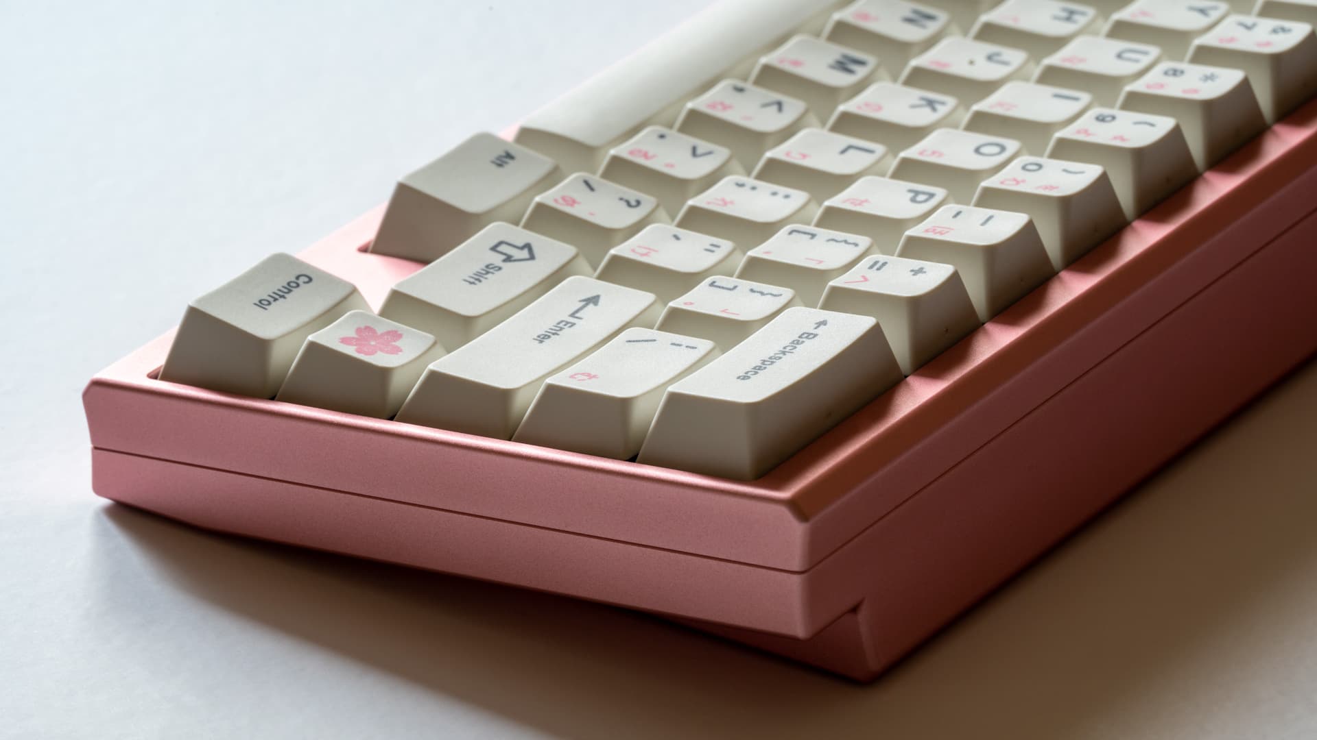 Petals Sixty - Paul x Sour (GB IS LIVE) image 16