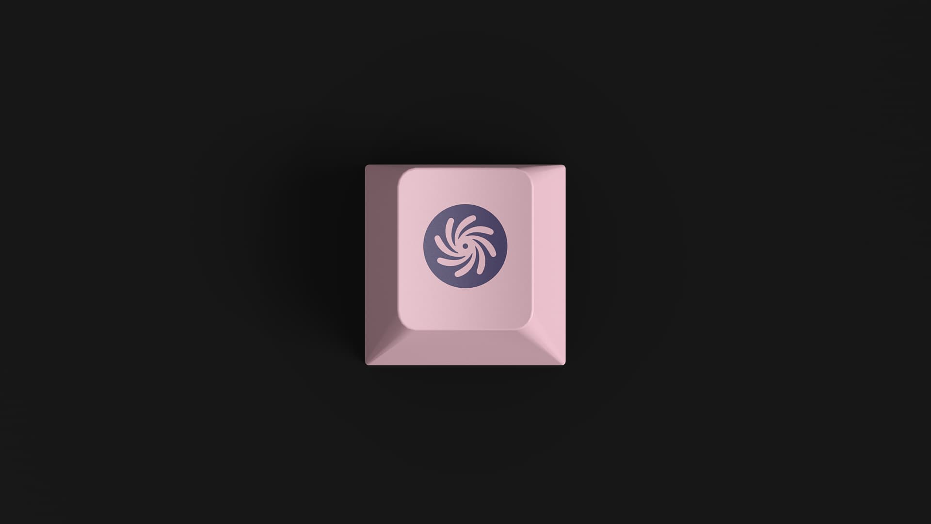 DMK Nebula | B for Alice Fixed image 14