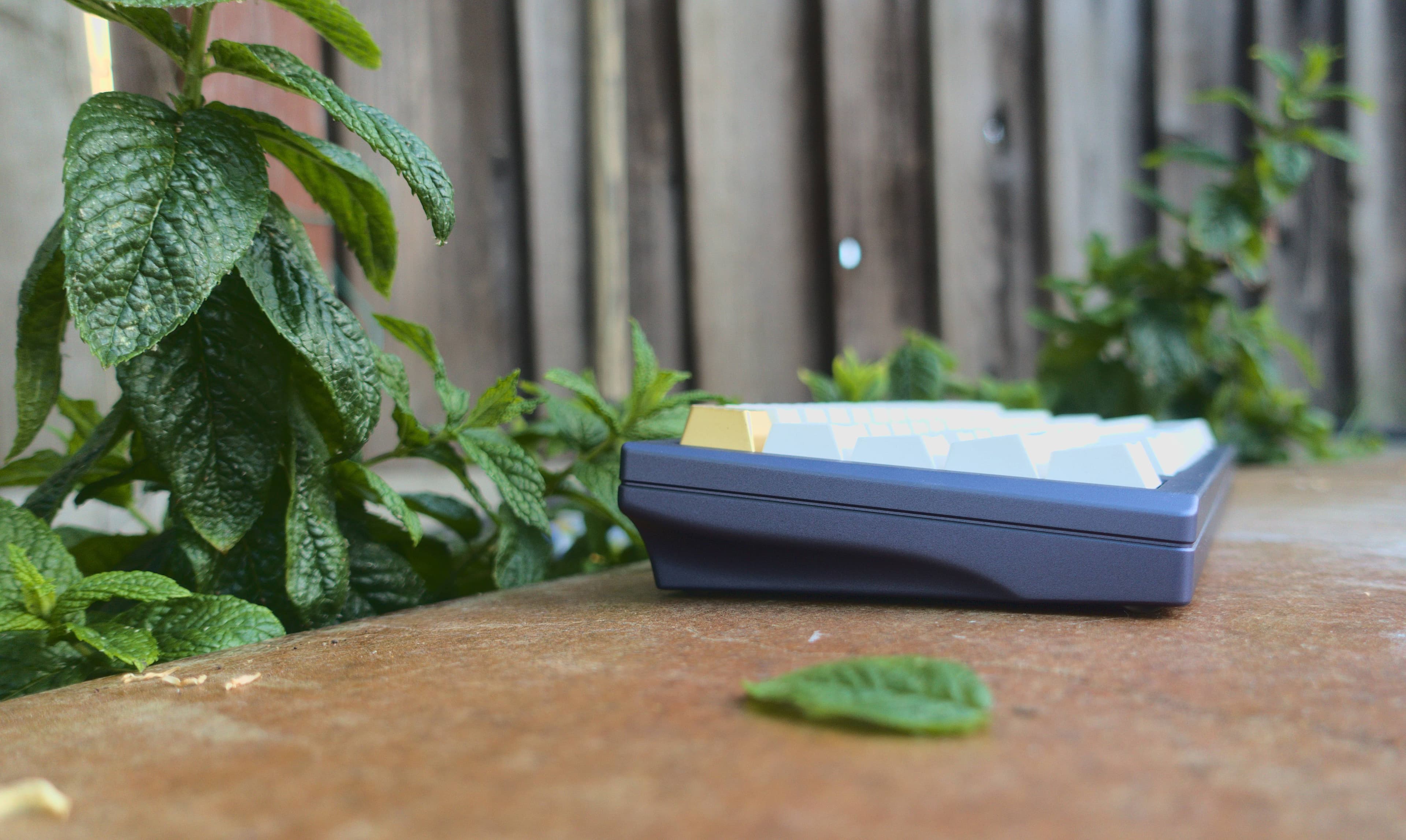 Moment - 60% | GB Open Oct 1 - Oct 16 image 31