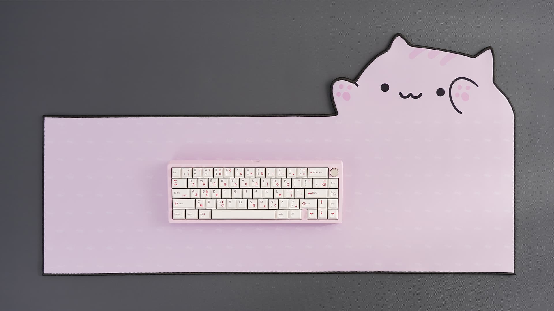 Clickitty Clackitty Catpads (aka Bongomat) - GB Live - ends 30 Dec image 32