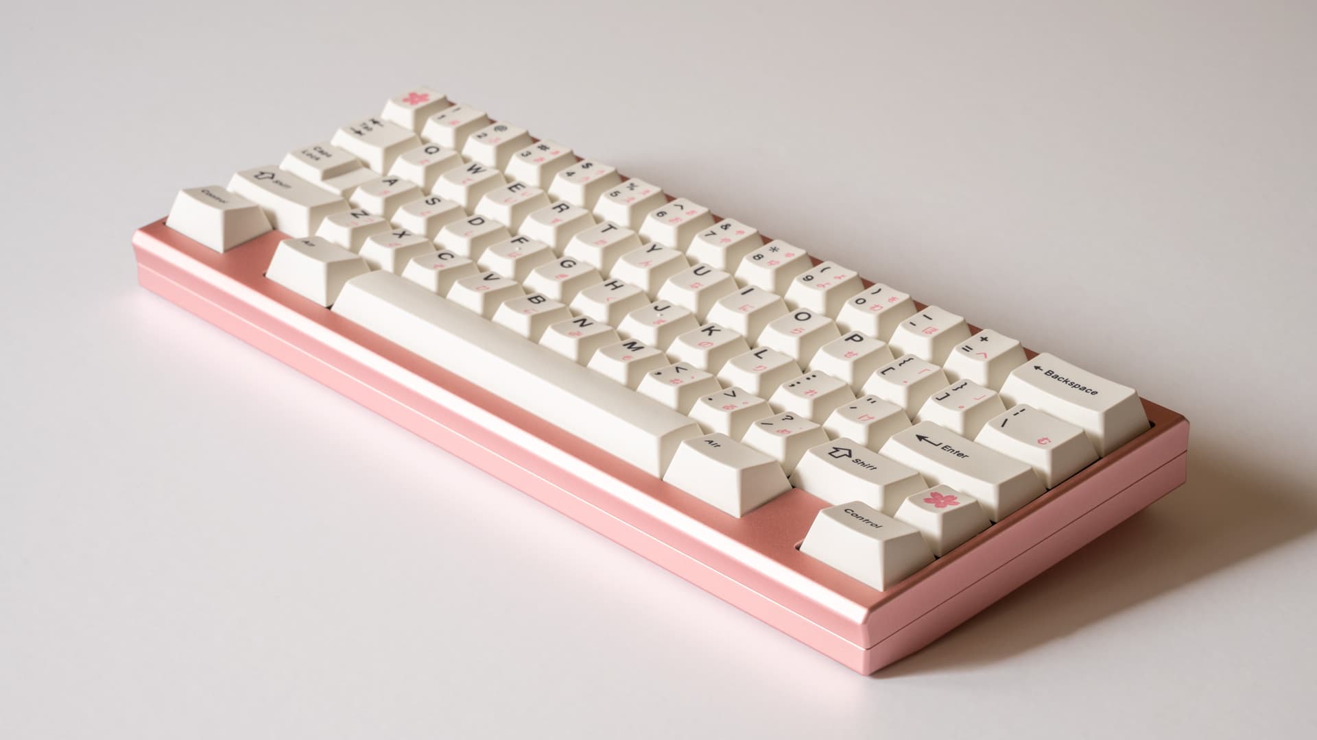 Petals Sixty - Paul x Sour (GB IS LIVE) image 18