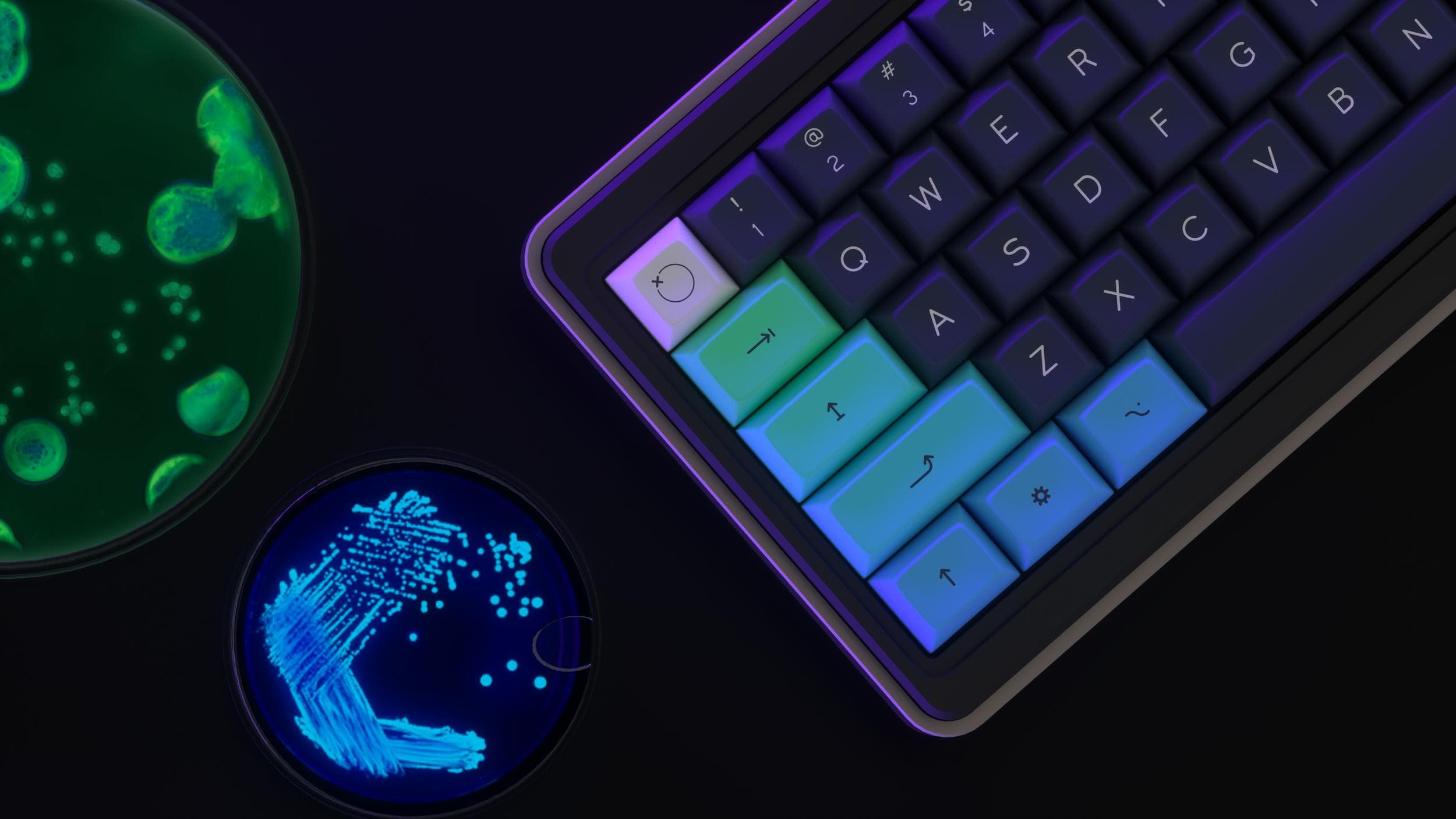 DSA PetriKeys ✨ | GB April 5 | Final Kitting + Collaborations Announced!