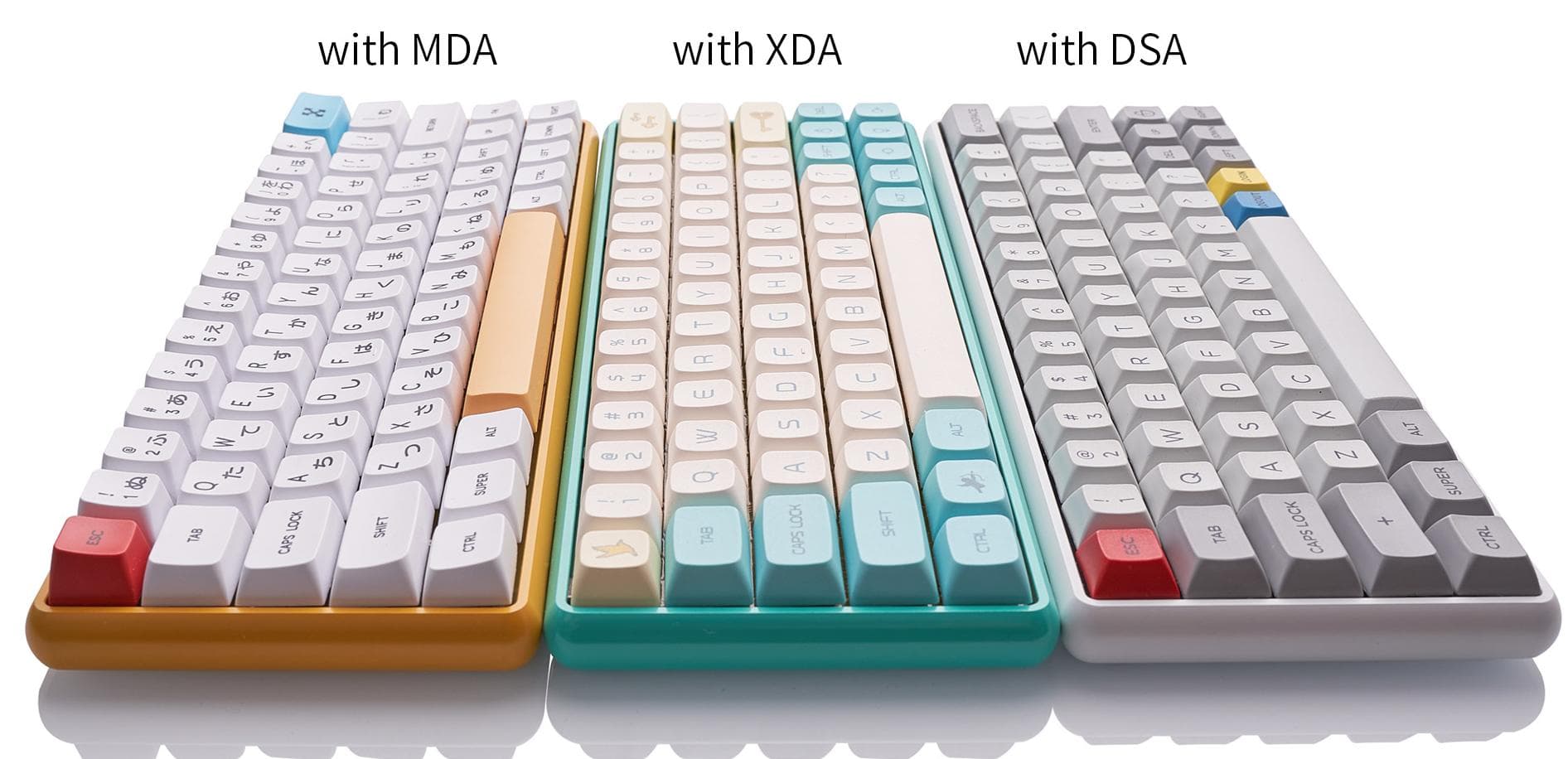 Pitta60 (updated compatibility test) image 12