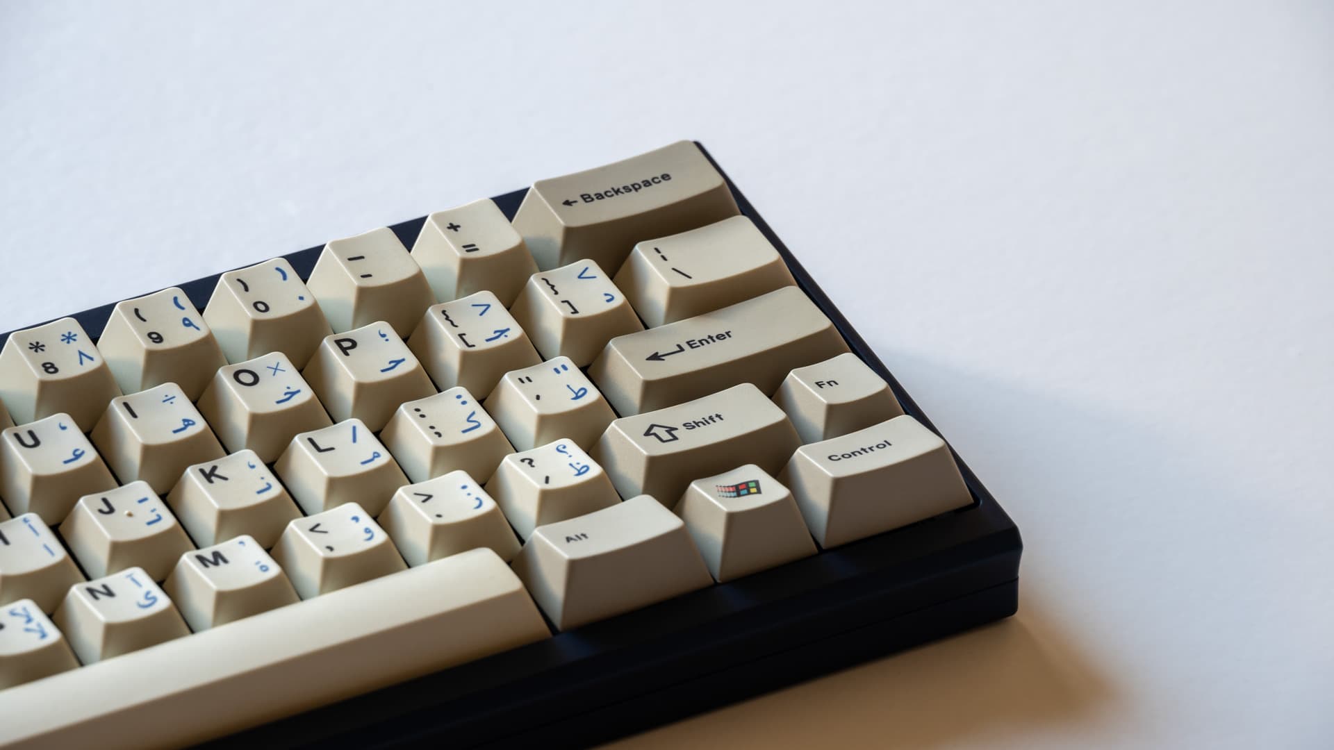 Petals Sixty - Paul x Sour (GB IS LIVE) image 7