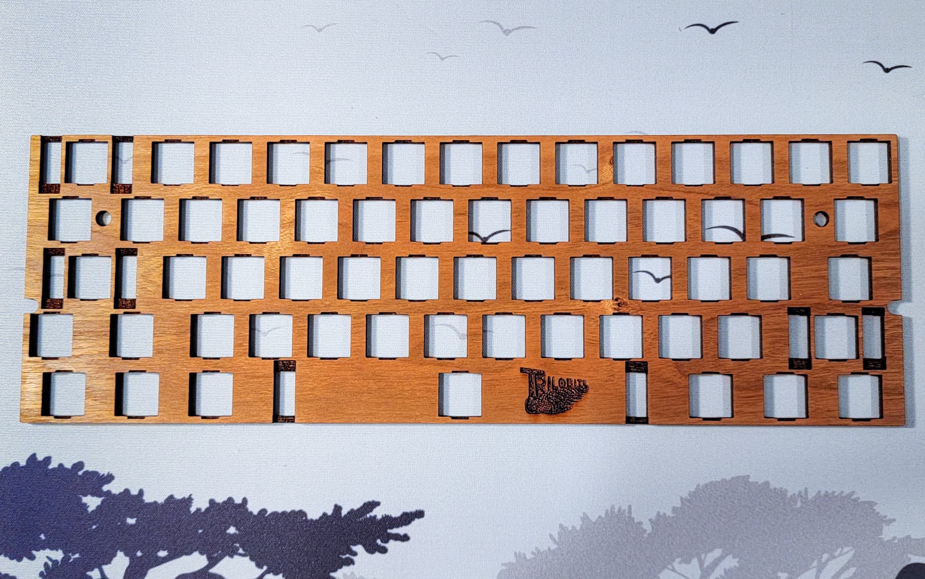 Organic hardwood plates for 60% Boards image 9