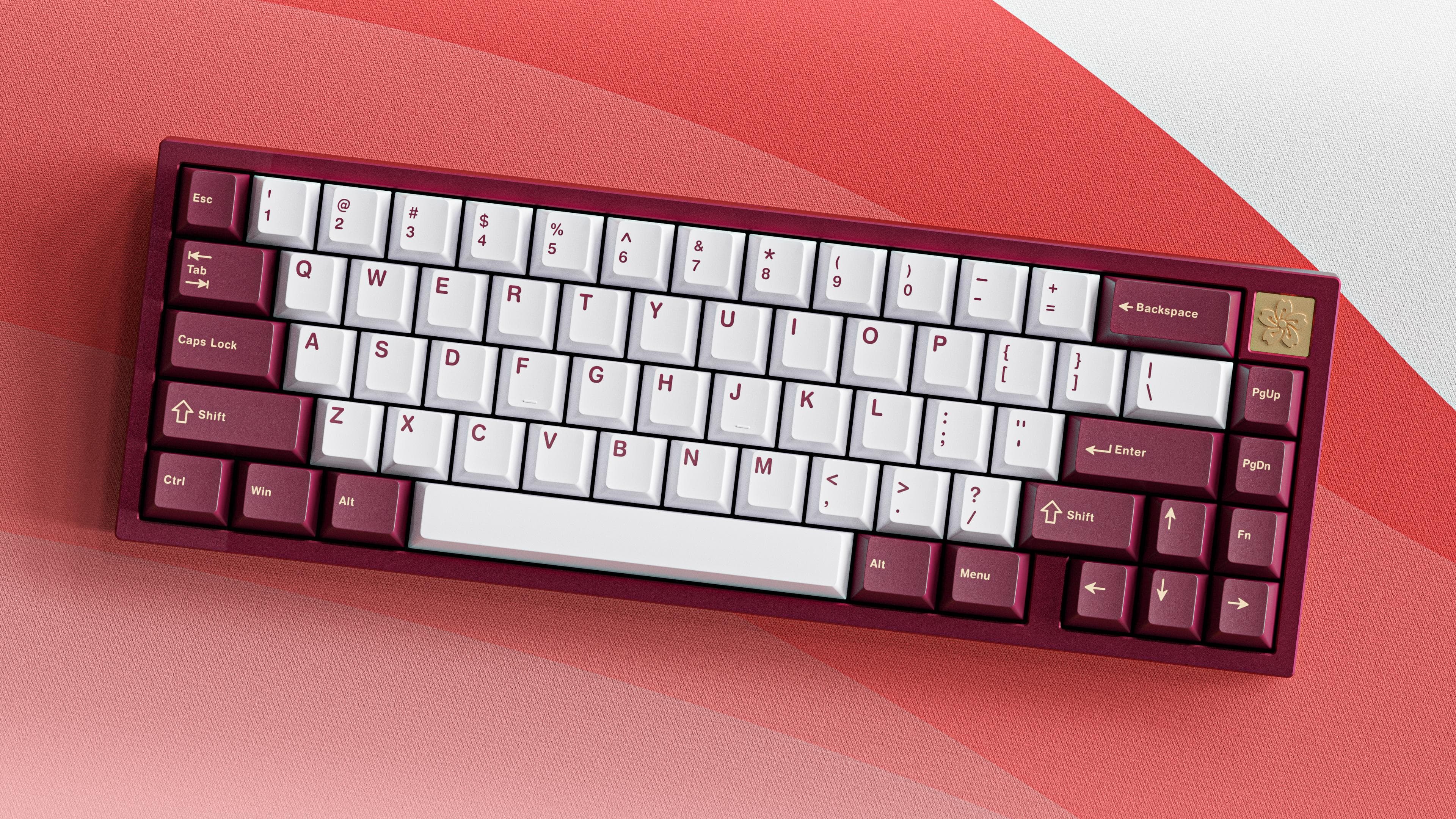 WSPBT Senkou | 28 May - colour samples image 14