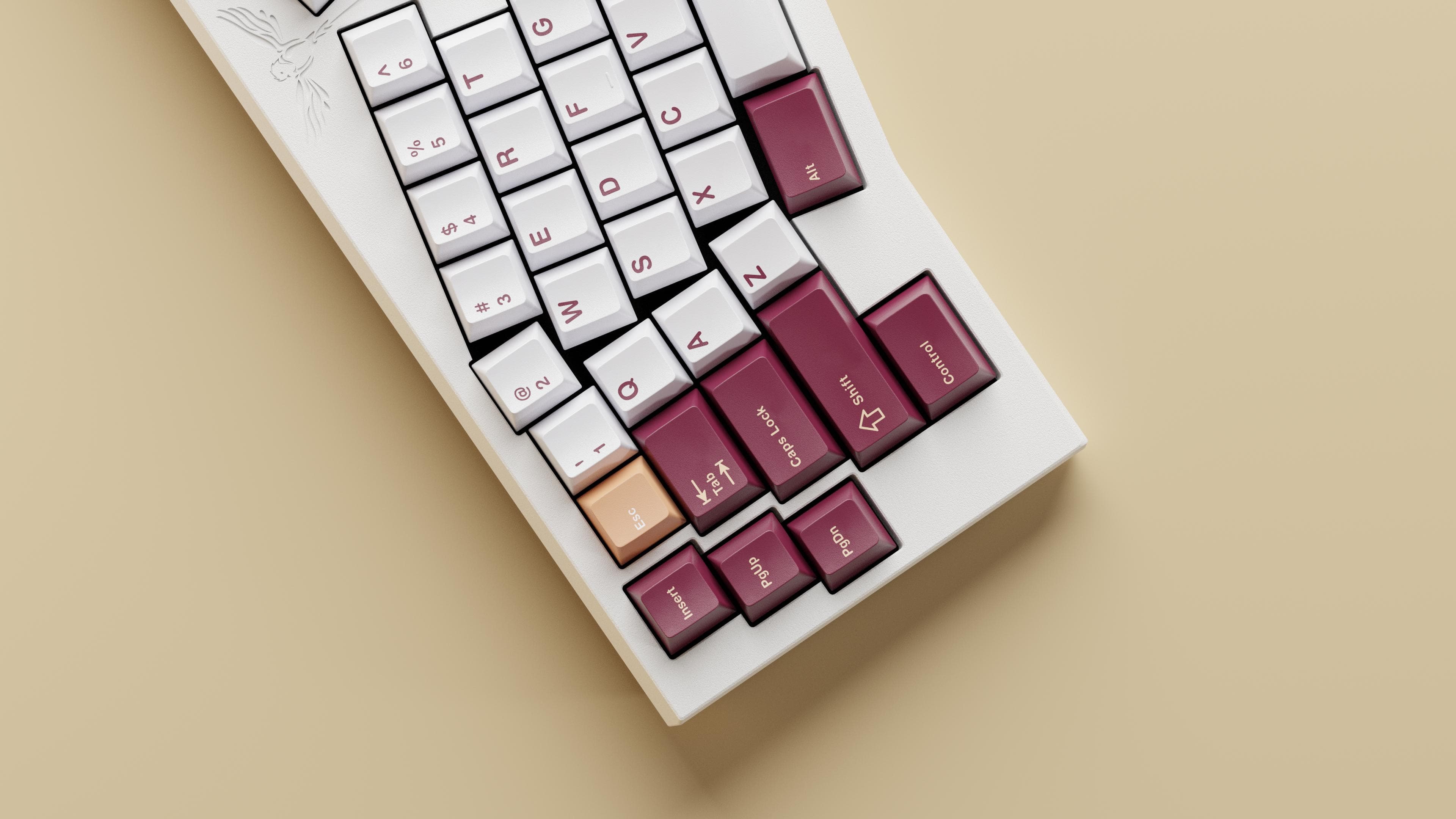 WSPBT Senkou | 28 May - colour samples image 19