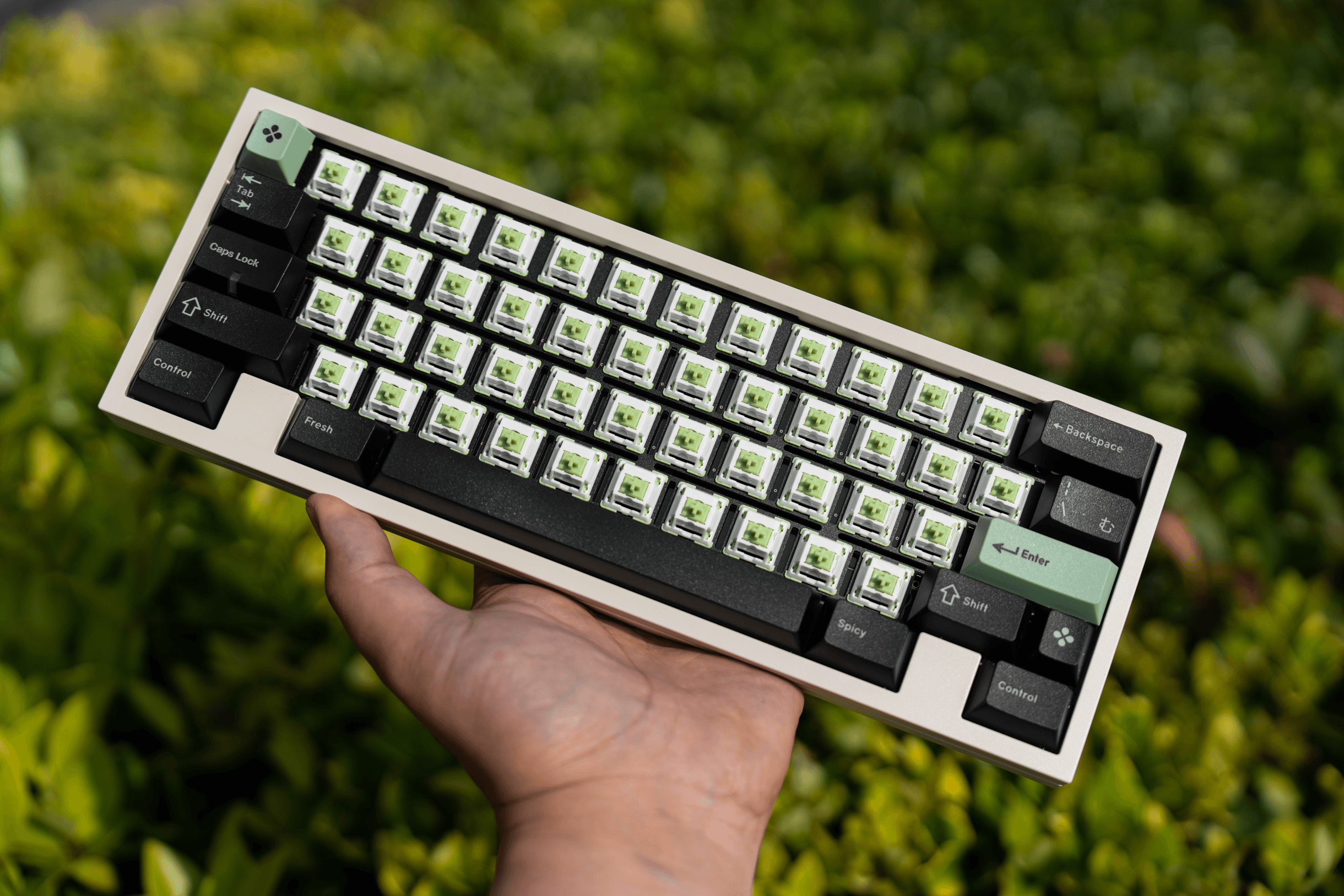 The stone that is shining, this is the [BSUN]Akashi linear switch image 6