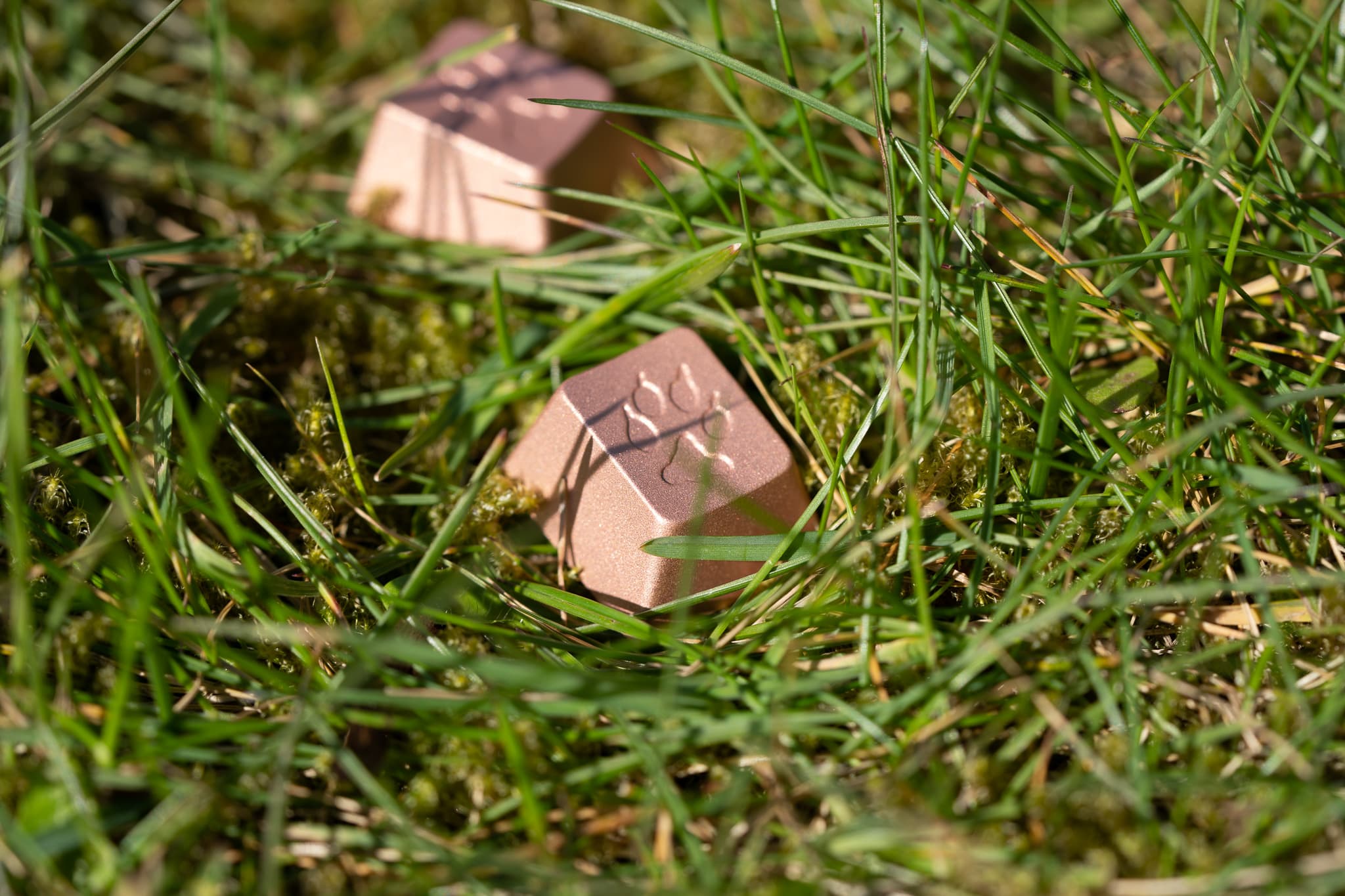 (IC) GMK Fox - GB is LIVE!!! image 33