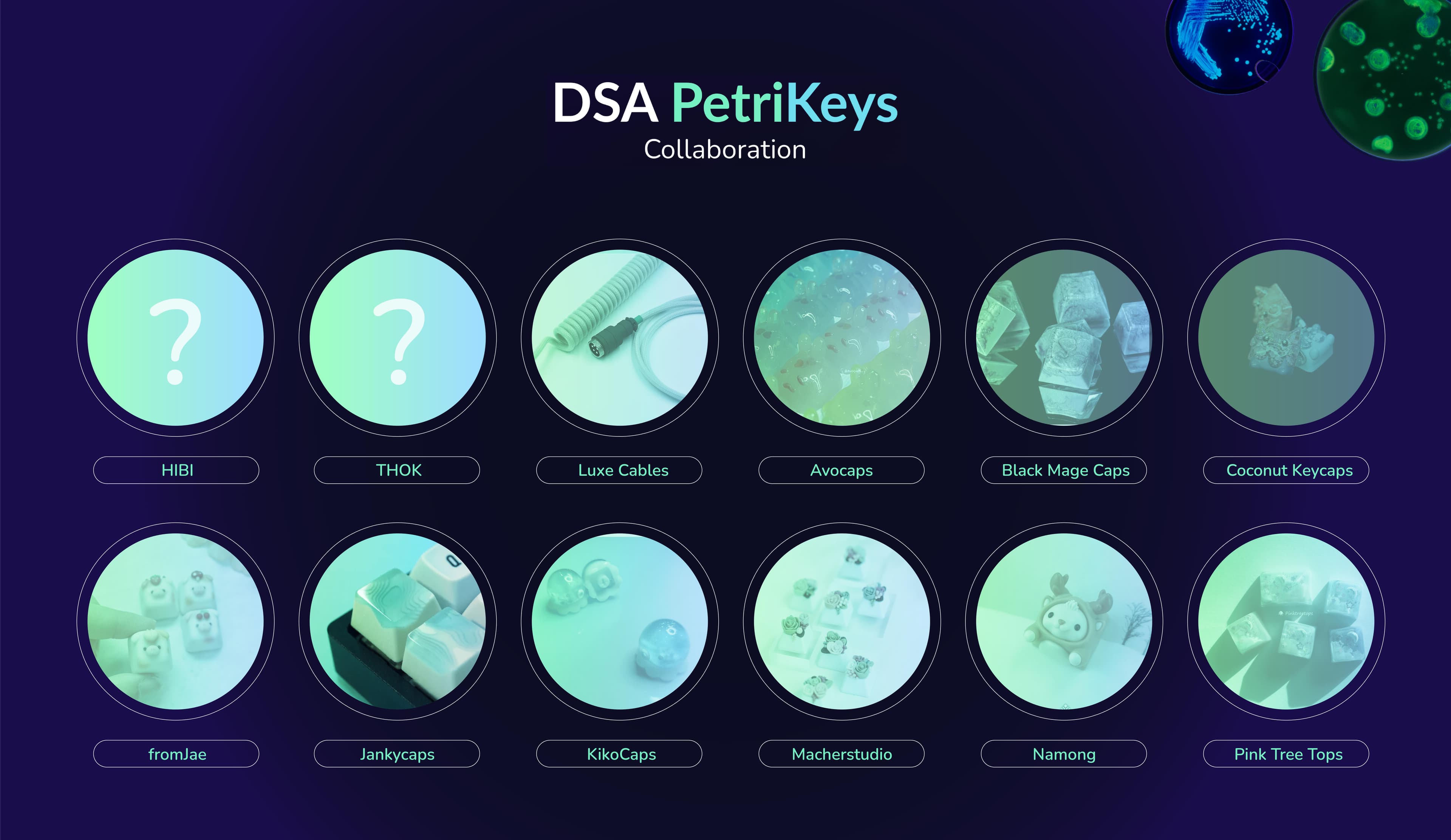 DSA PetriKeys ✨ | GB April 5 | Final Kitting + Collaborations Announced! image 28