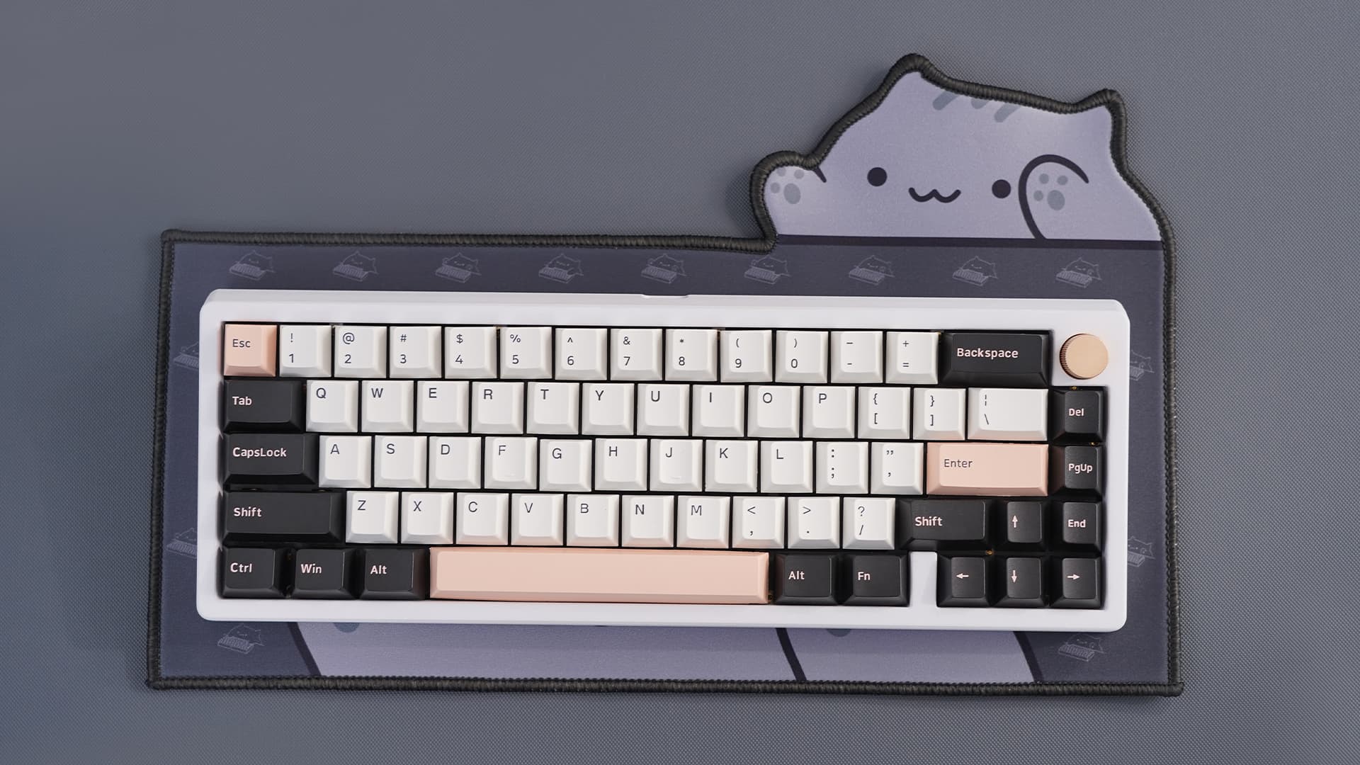 Clickitty Clackitty Catpads (aka Bongomat) - GB Live - ends 30 Dec image 39