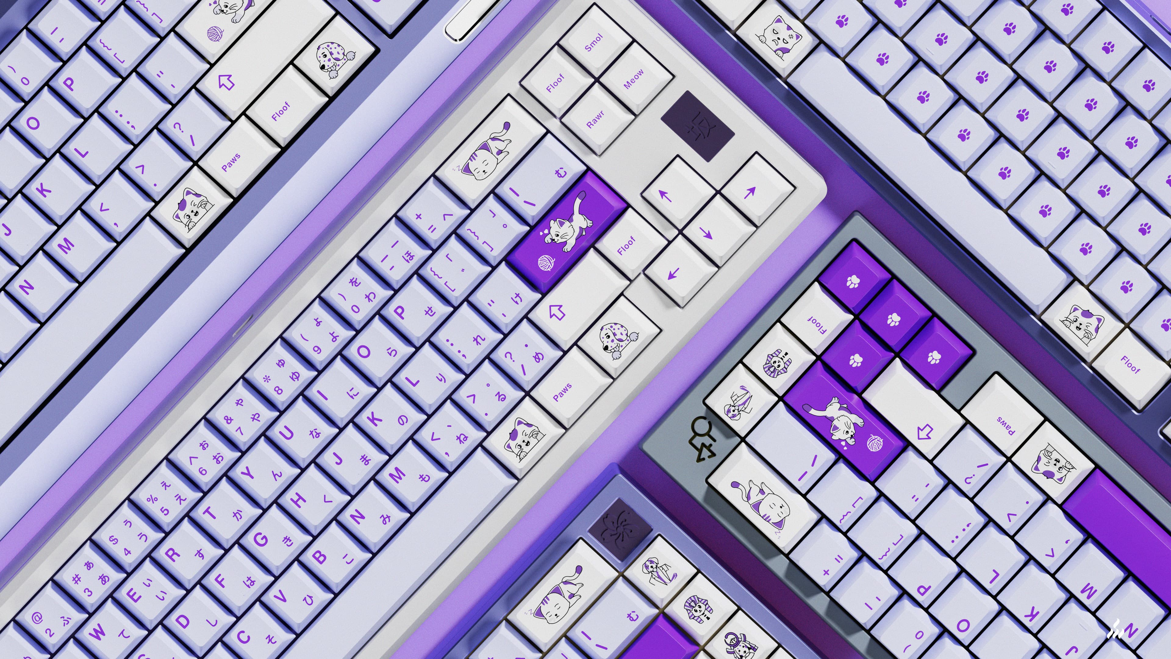 MW Paws 🐾 GB Sept 2nd image 25