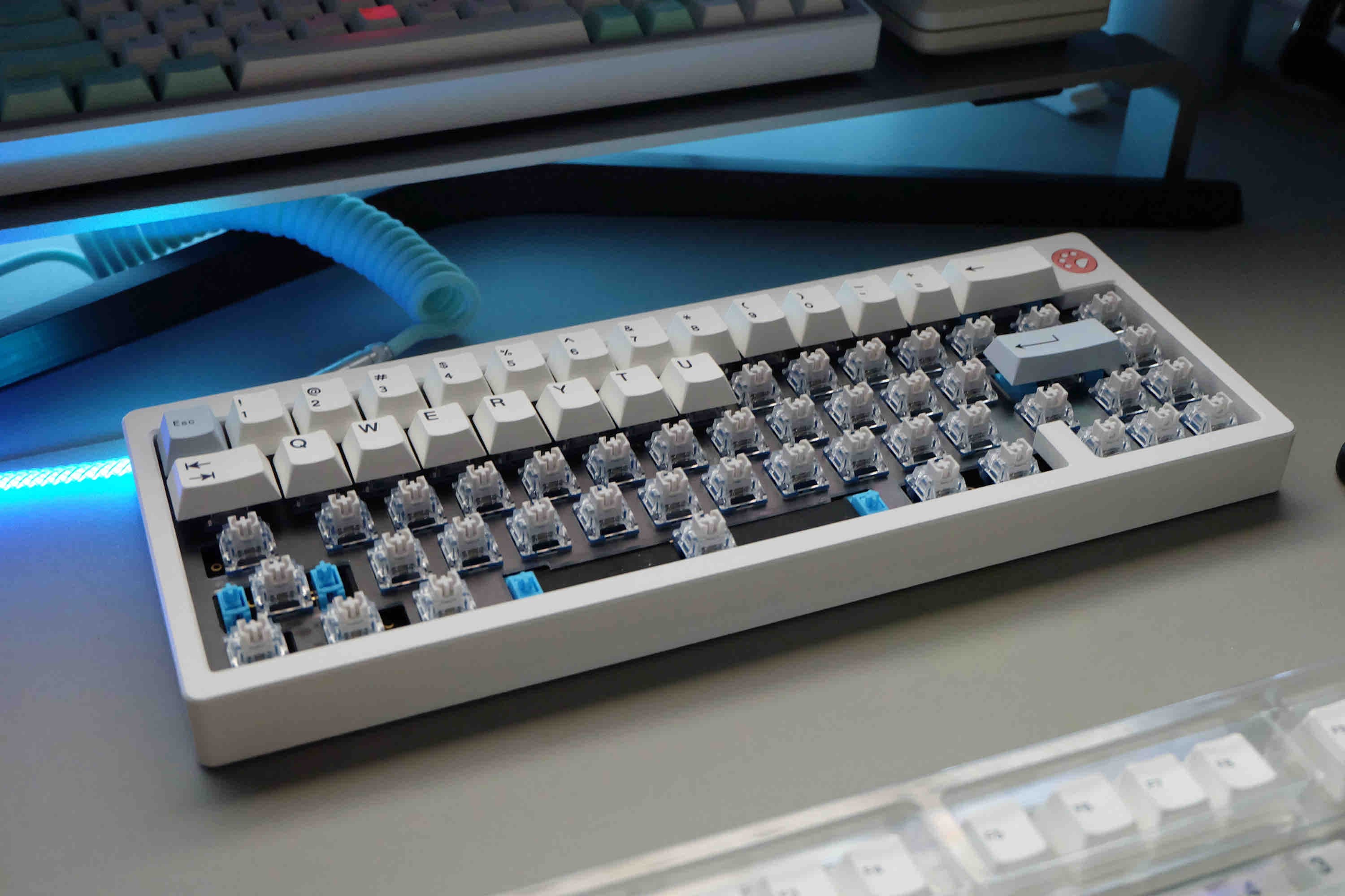 Corgi65 Butt Keyboard! image 16